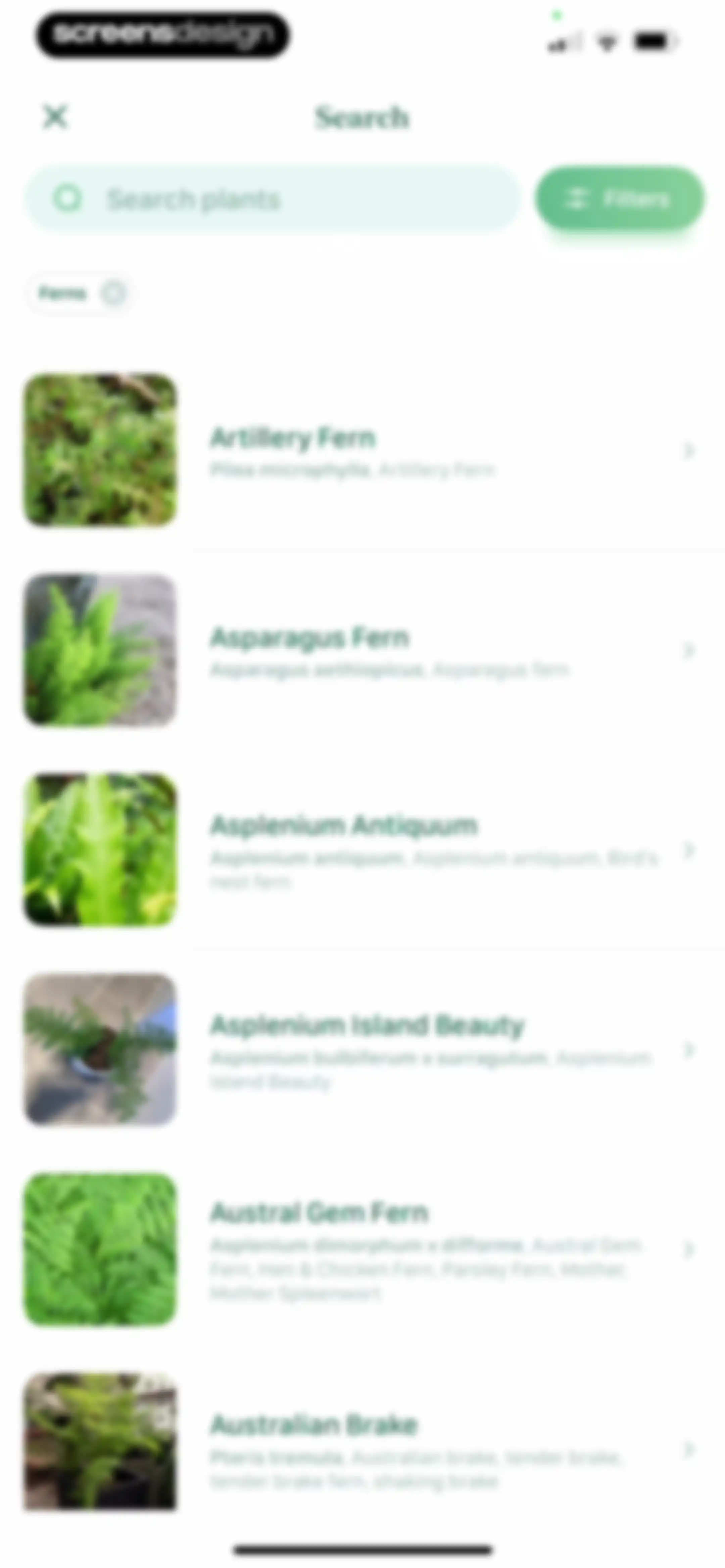 Blossom - Plant Care Guide screen 199
