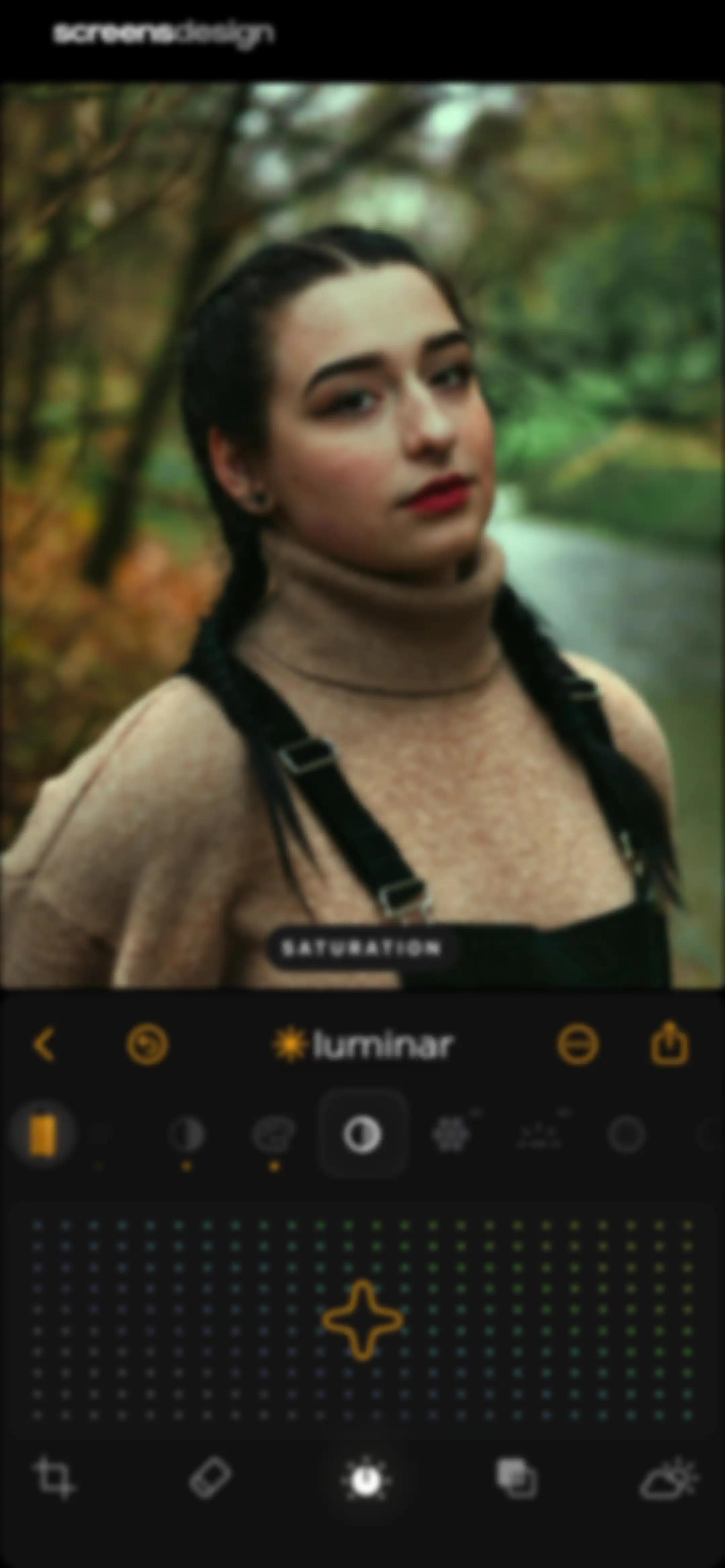 Luminar: Image Editor&Enhancer screen 24