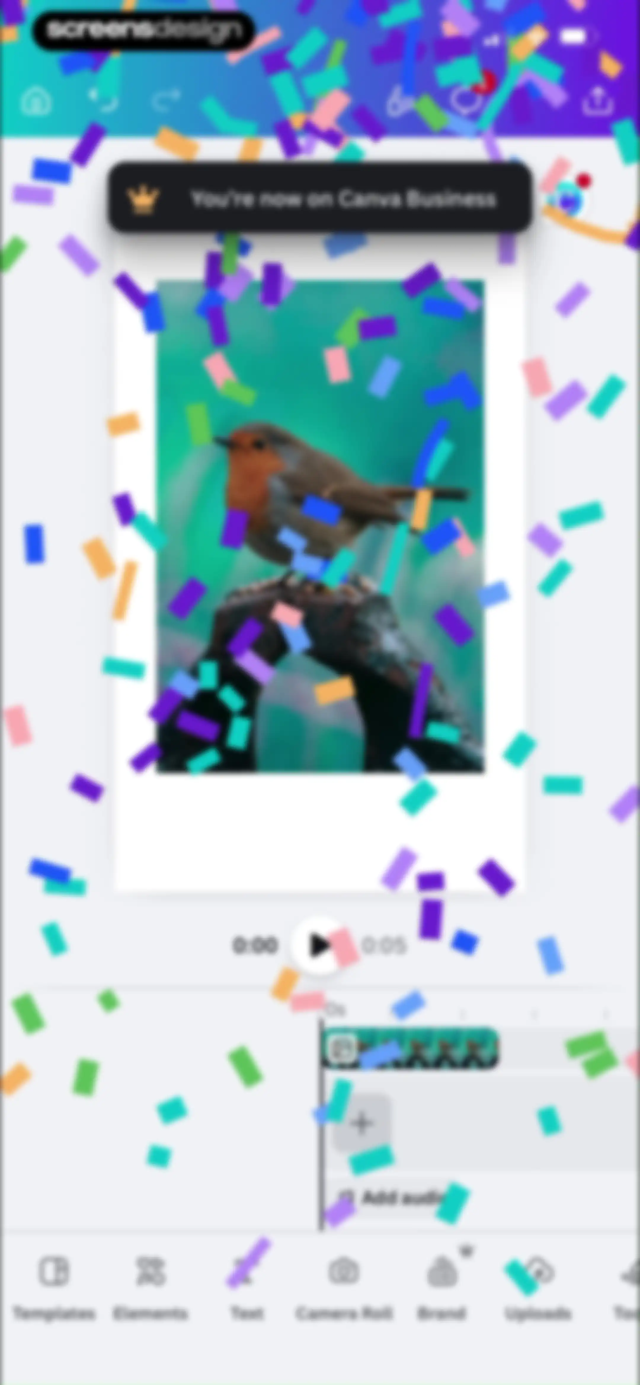 Canva: AI Video & Photo Editor screen 40