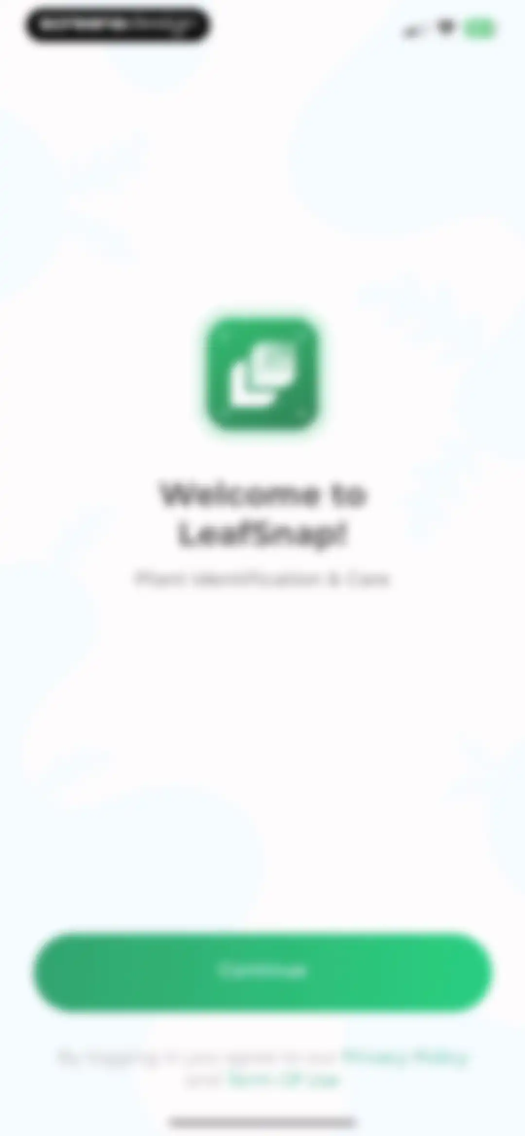 Plant Identifier: LeafSnap screen 3