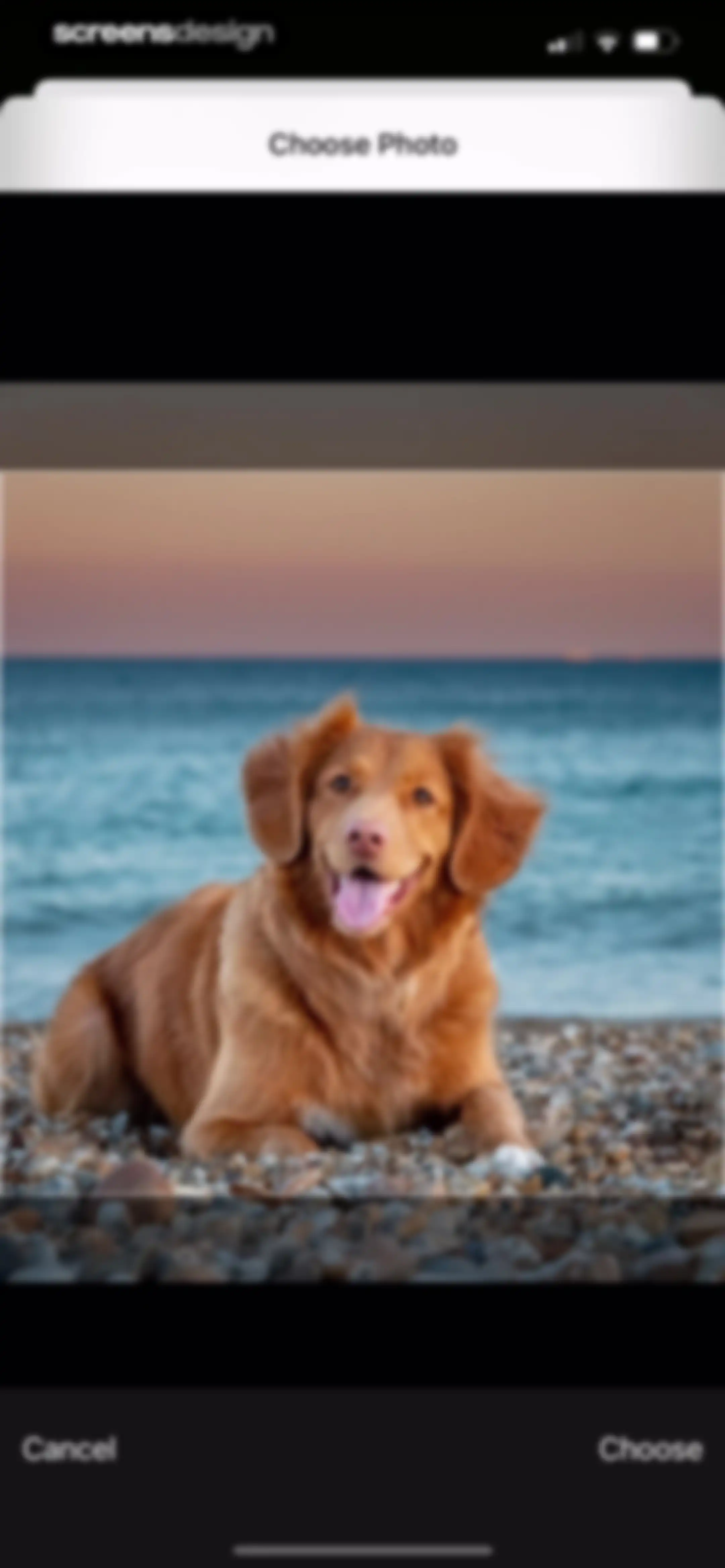 Color Widgets screen 84