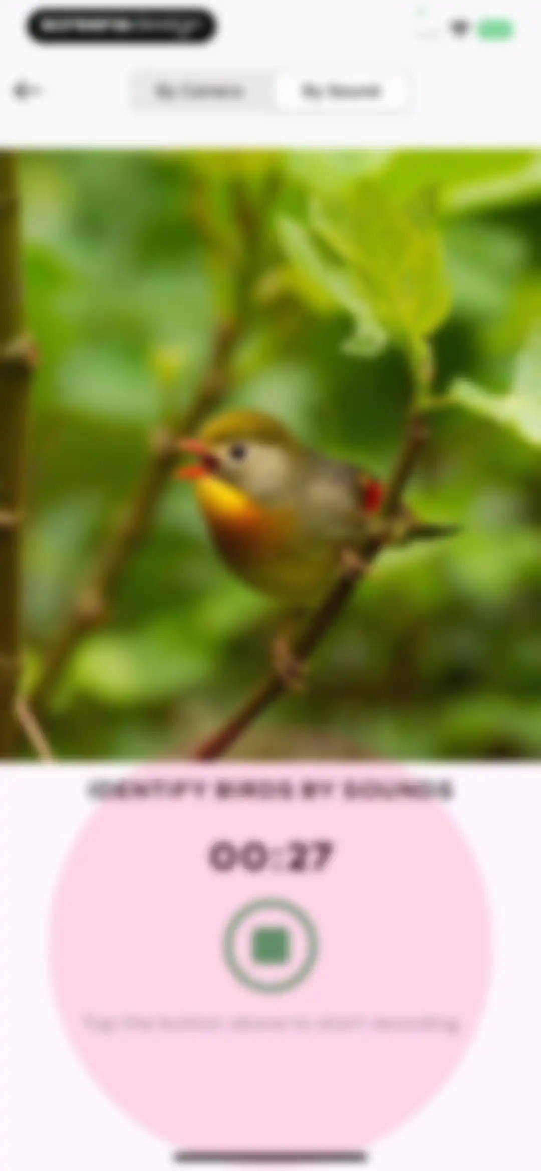 Bird Sounds Identifier Call ID screen 24