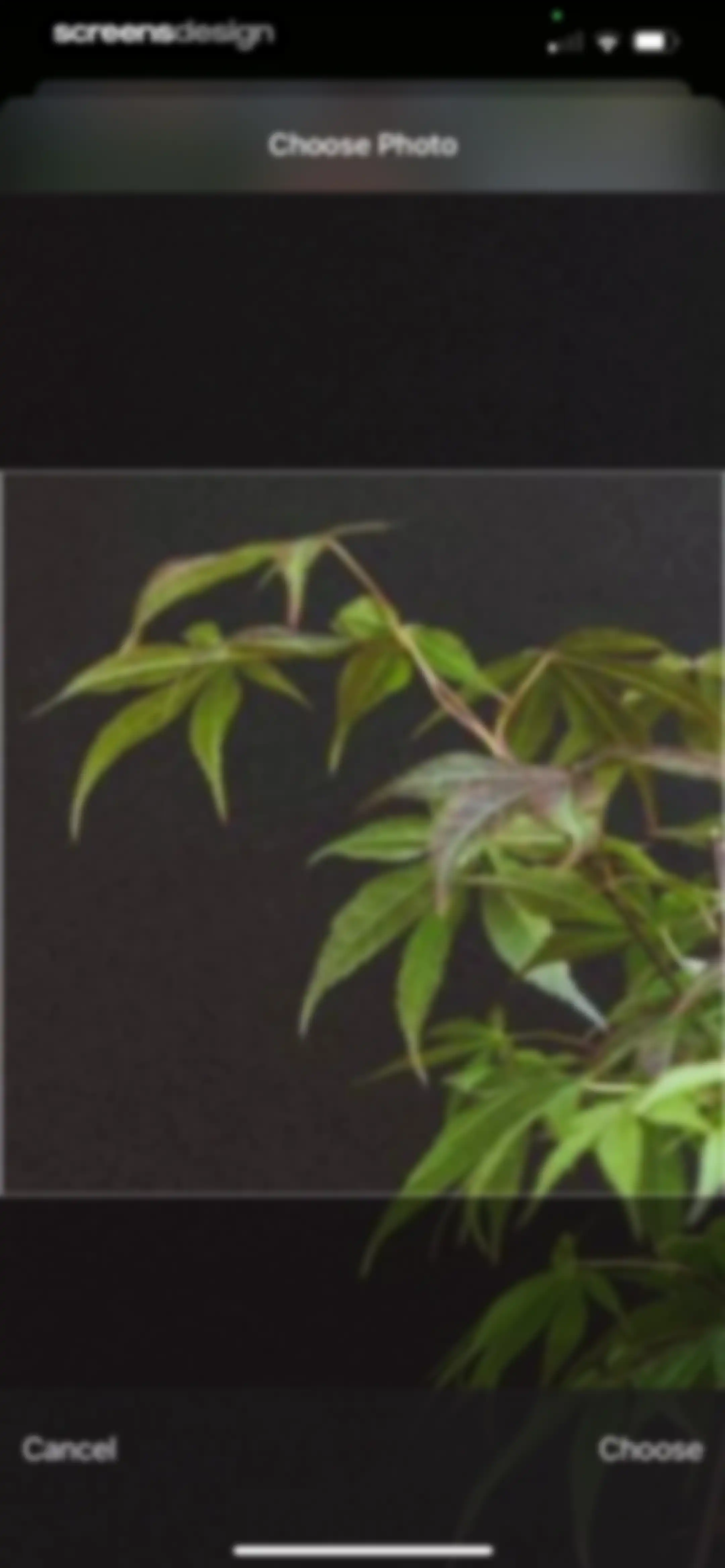 Plant Identifier & Care App screen 118
