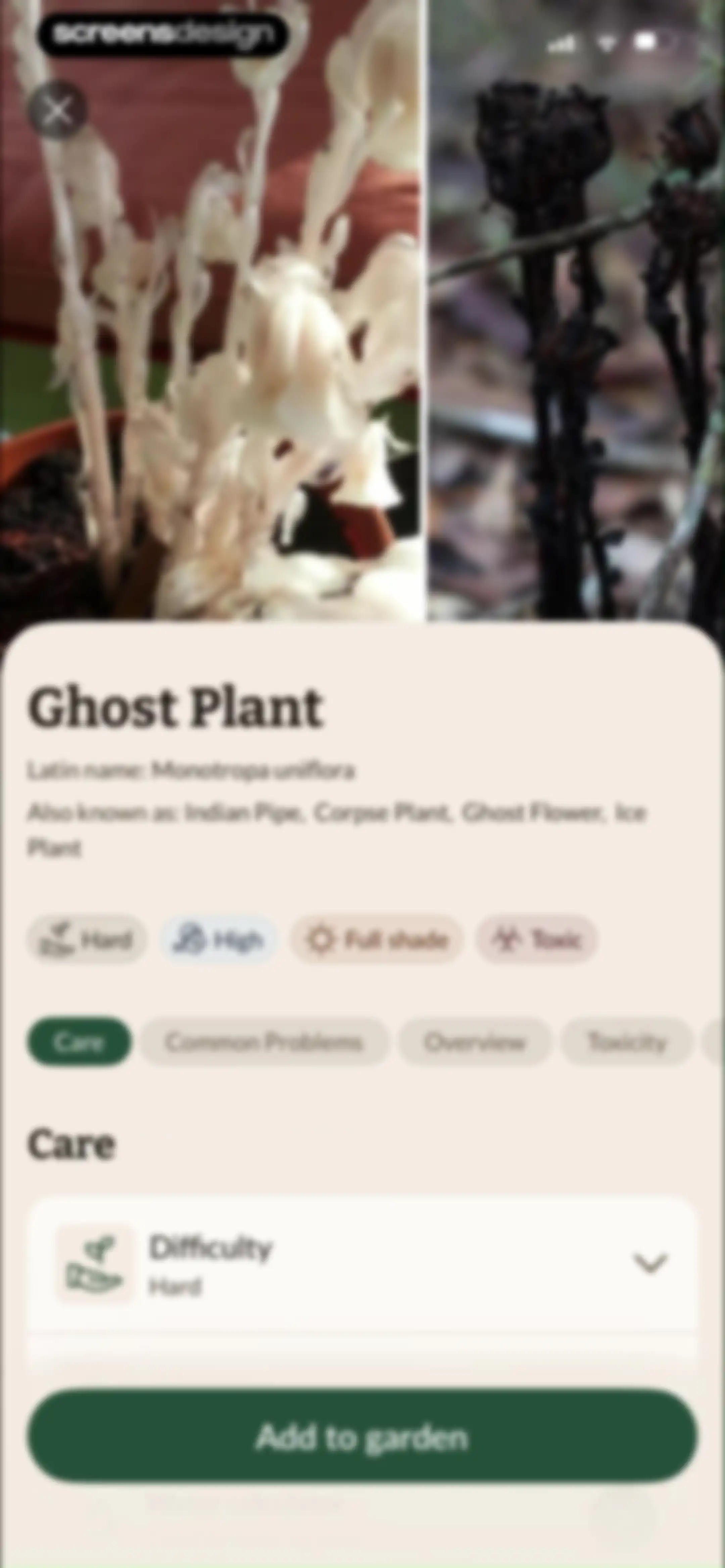 Plant Identification－Plantaria screen 80