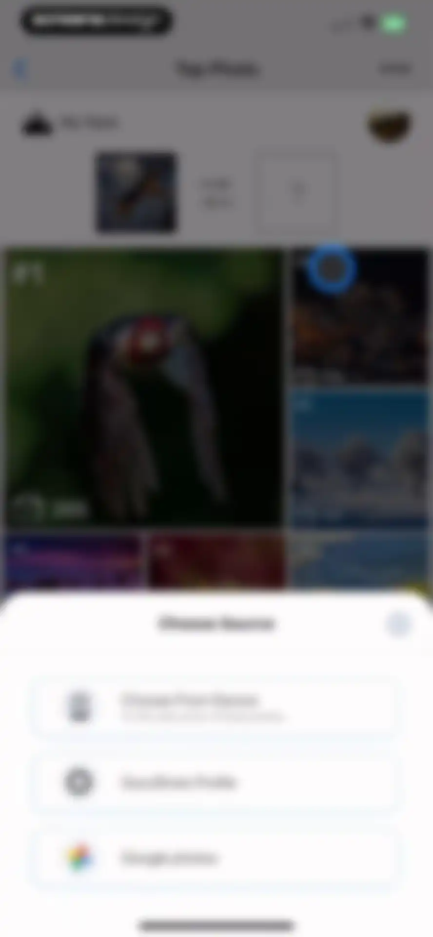 GuruShots: Photography Game screen 20