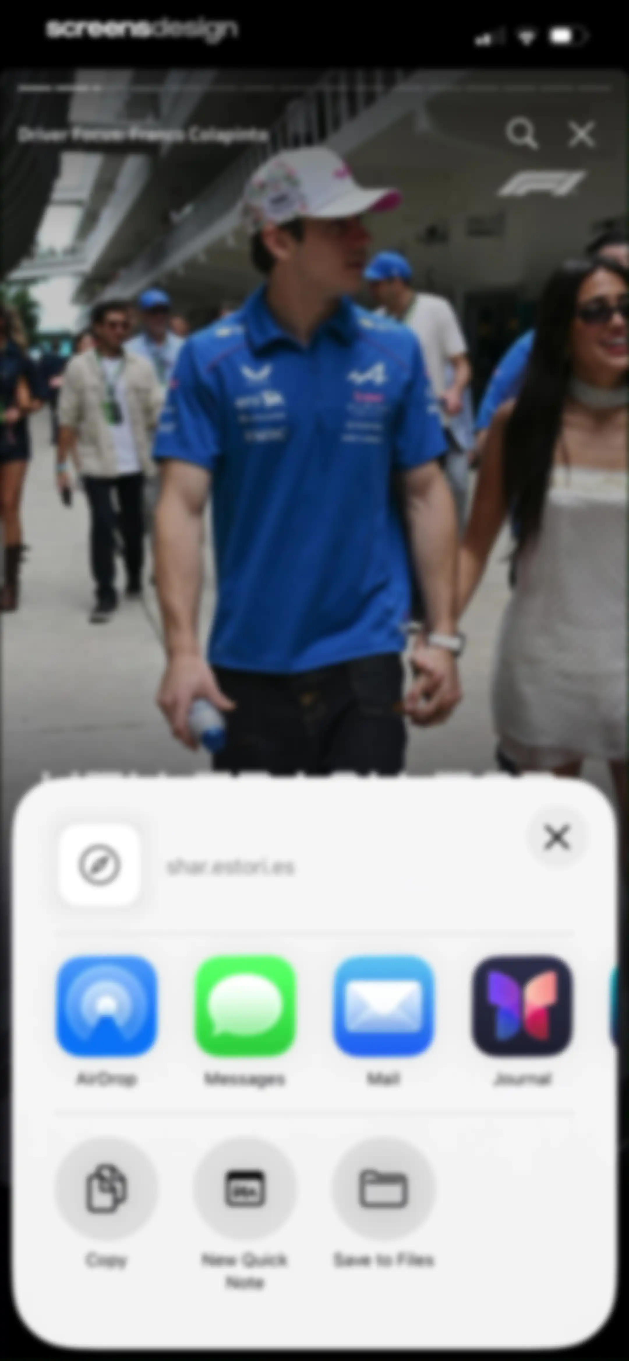 Formula 1® screen 49