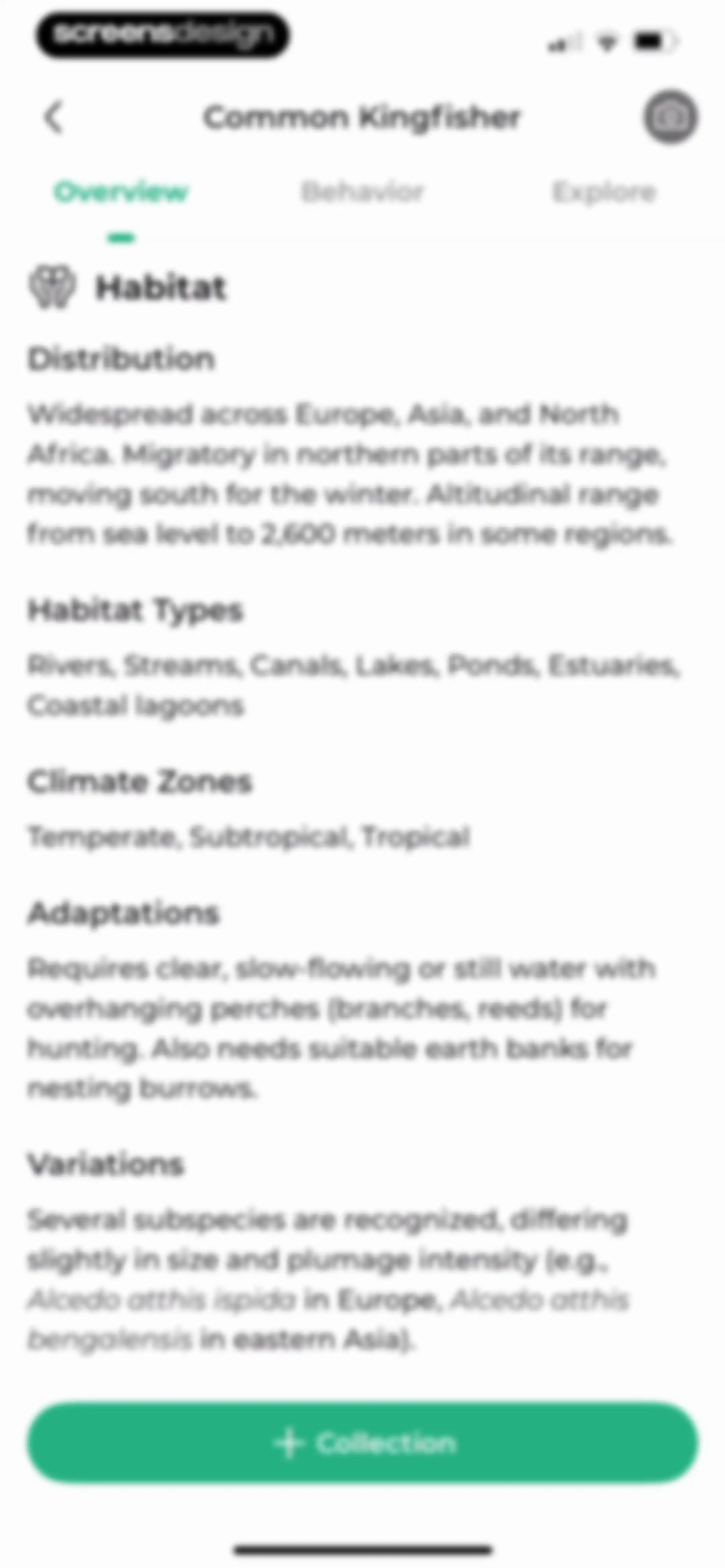 Bird Identifier: BirdScope screen 29