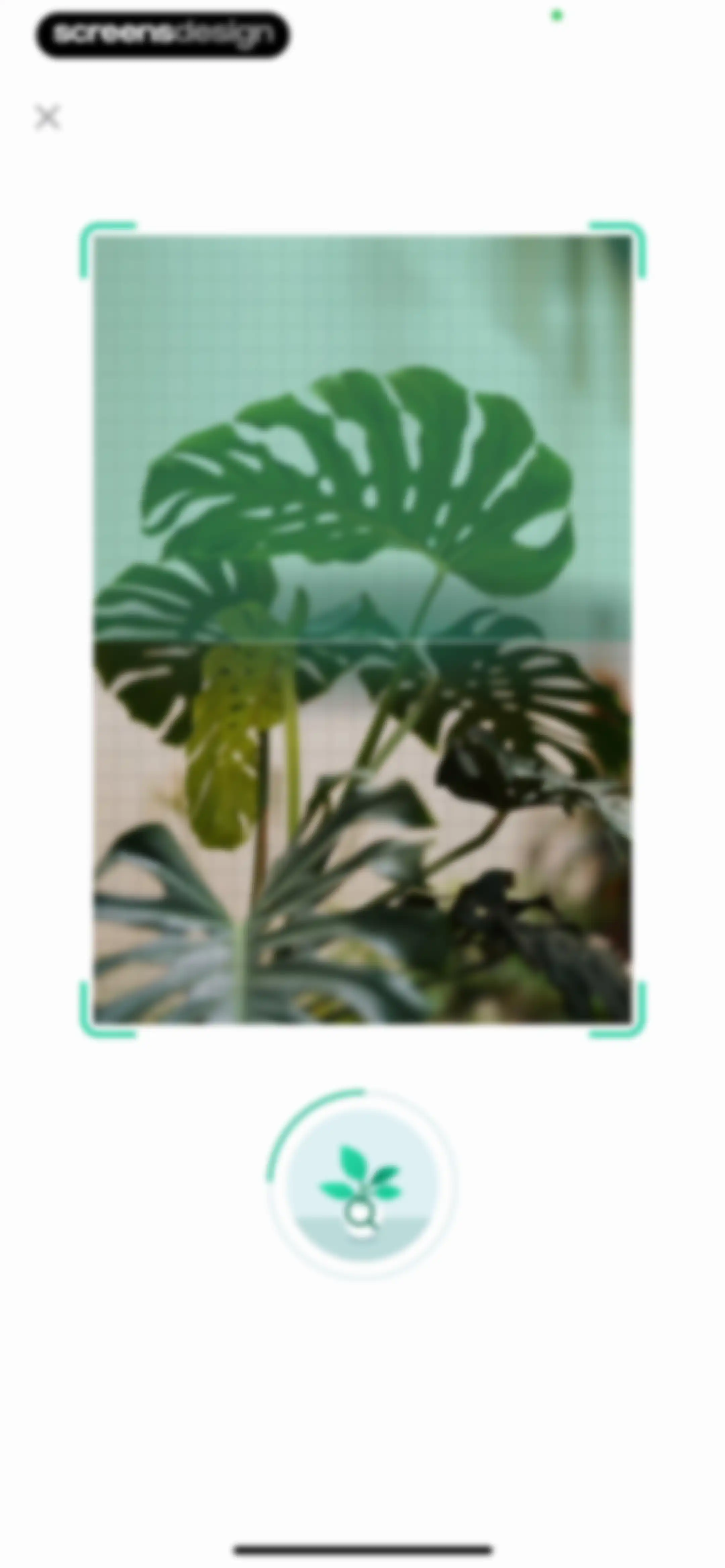 Plant Parent: Plant Care Guide screen 46