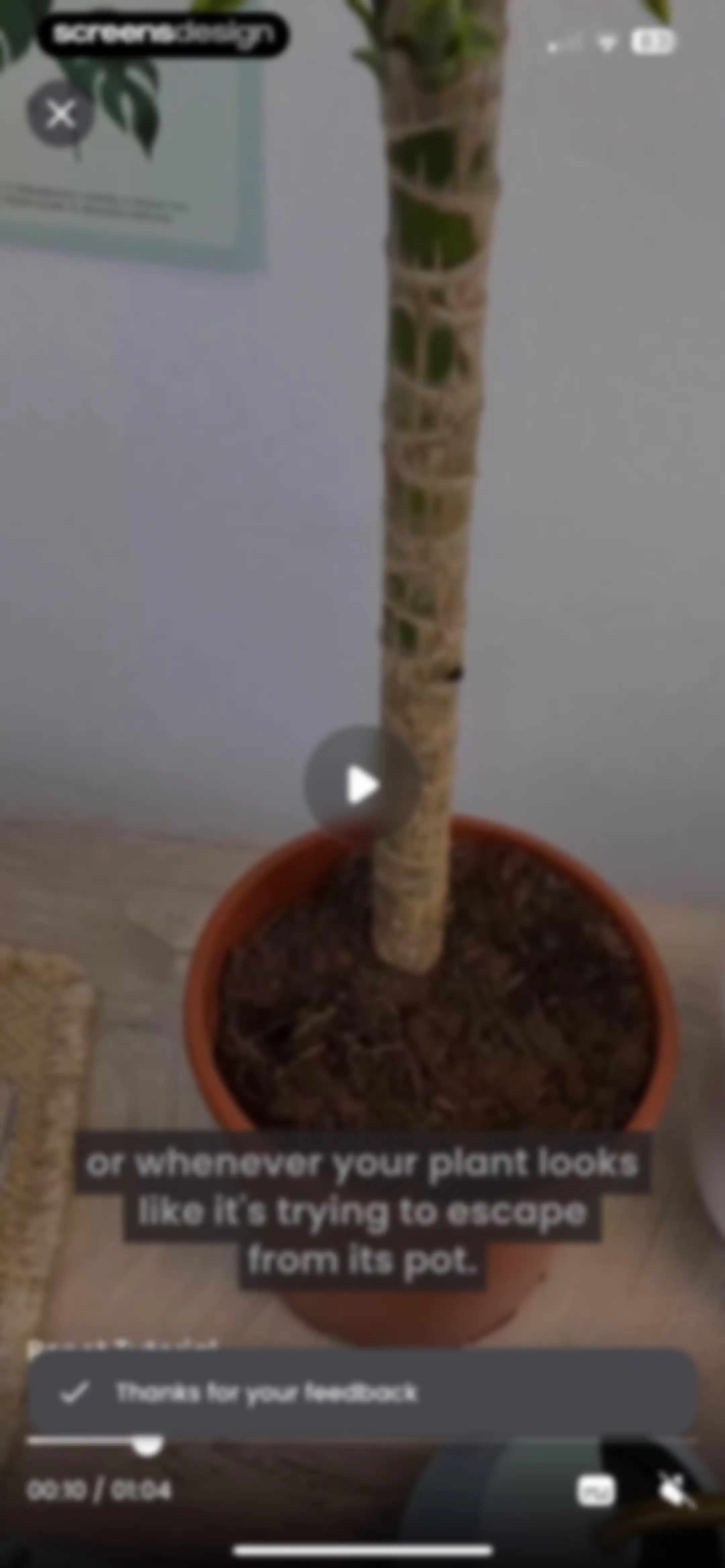 PlantIn: Plant Identifier・Care screen 47
