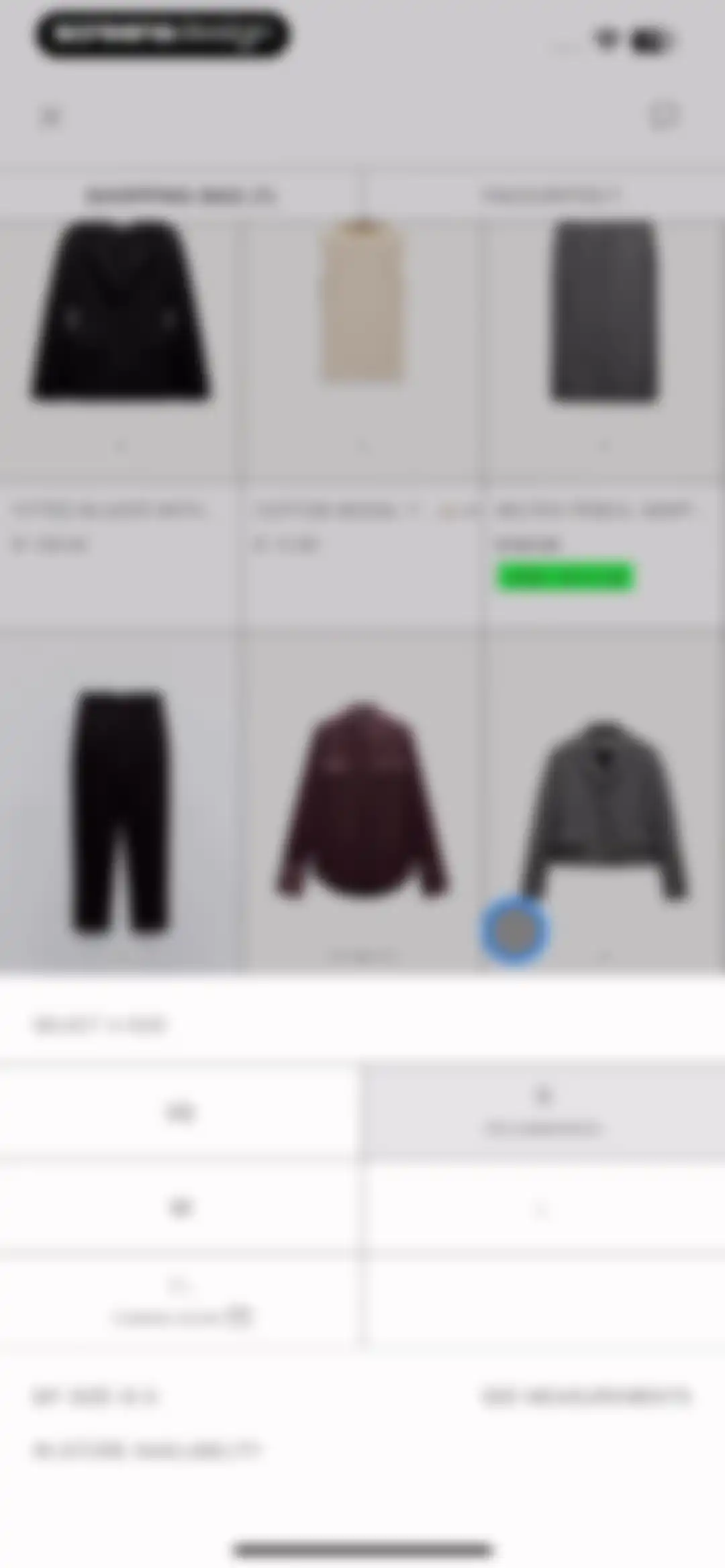 ZARA screen 131