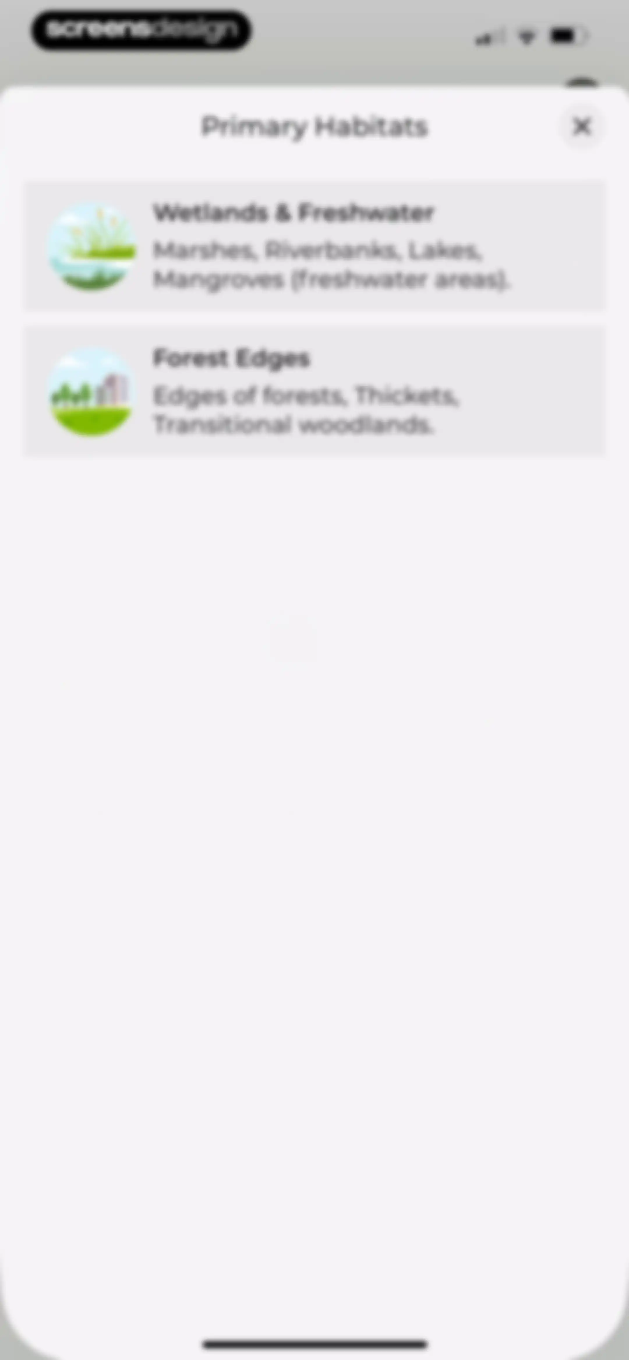 Bird Identifier: BirdScope screen 26