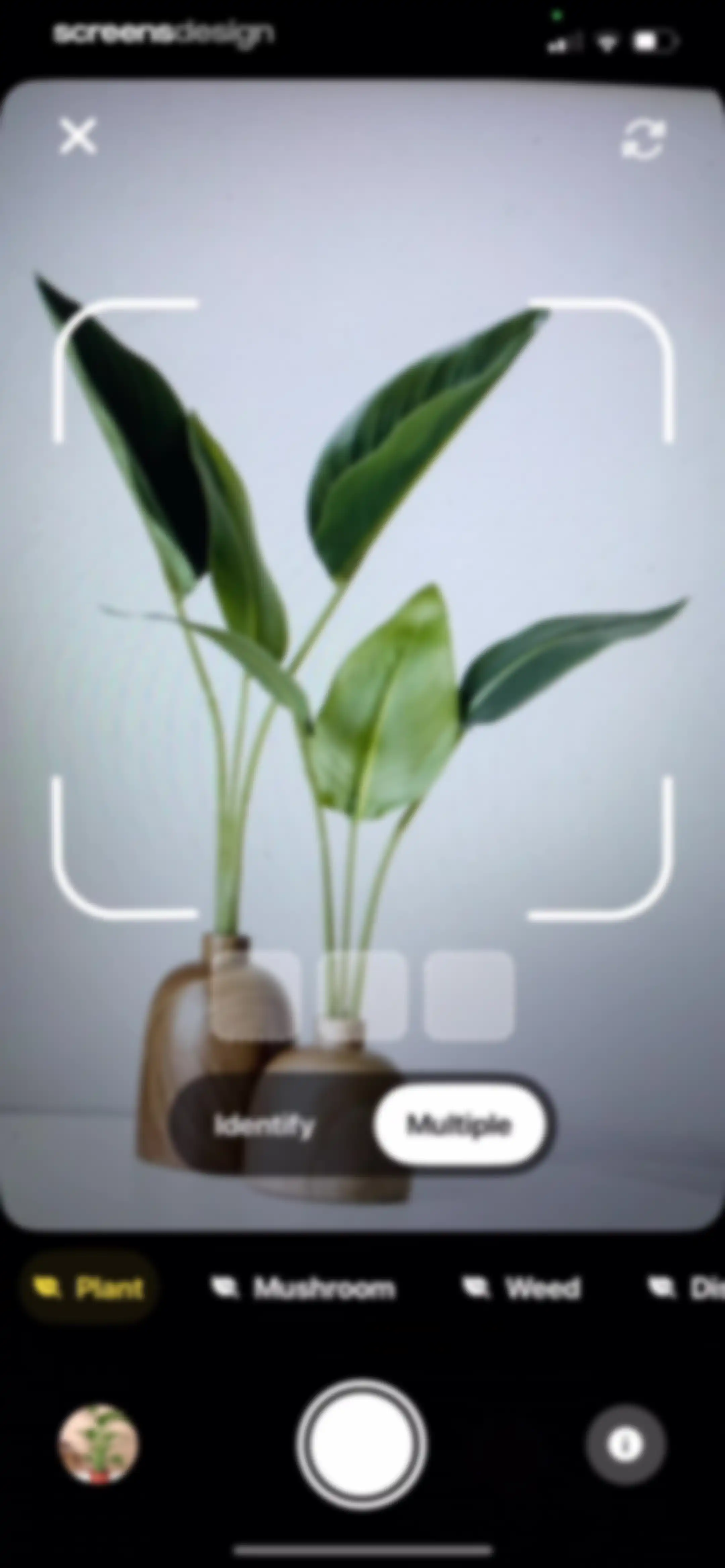 Plant App: Plant Identifier screen 40