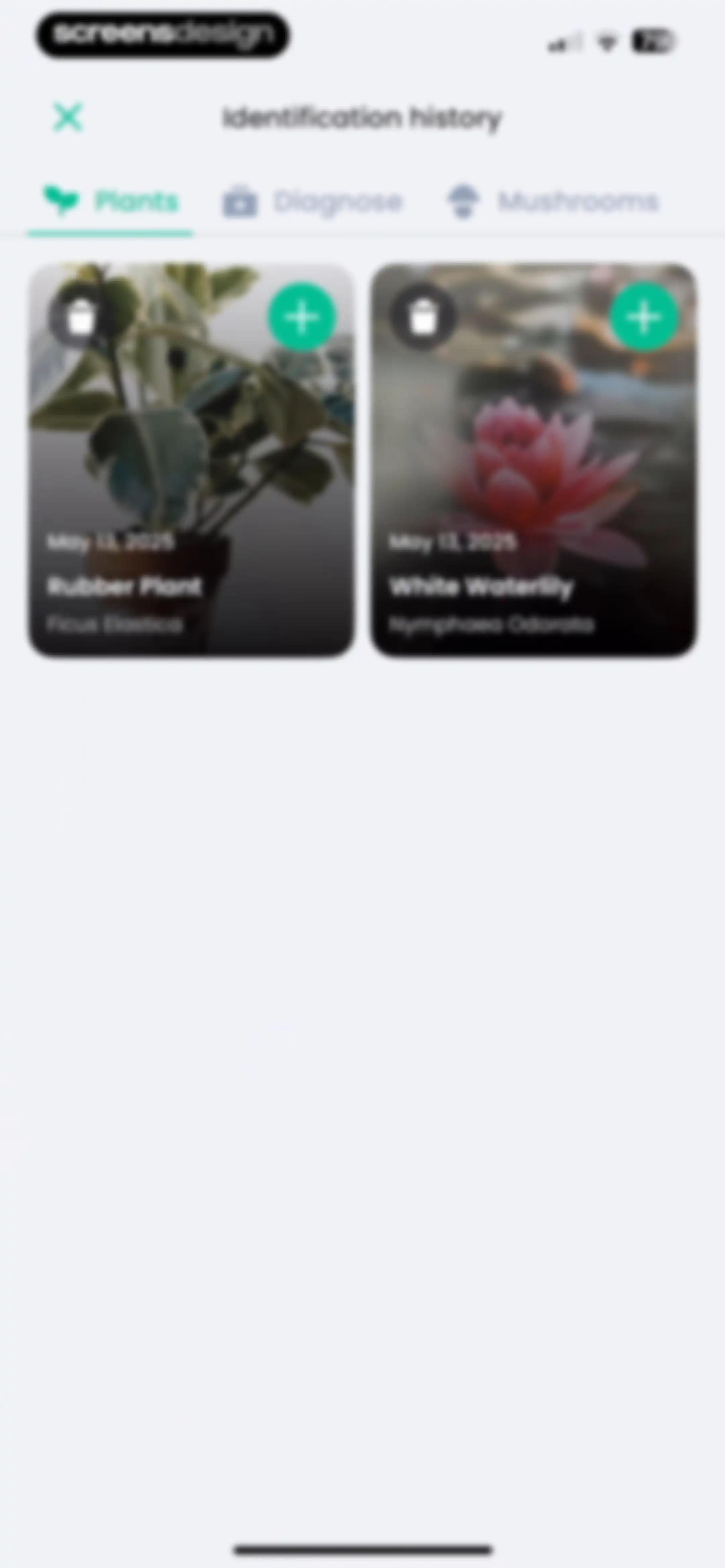 PlantIn: Plant Identifier・Care screen 171