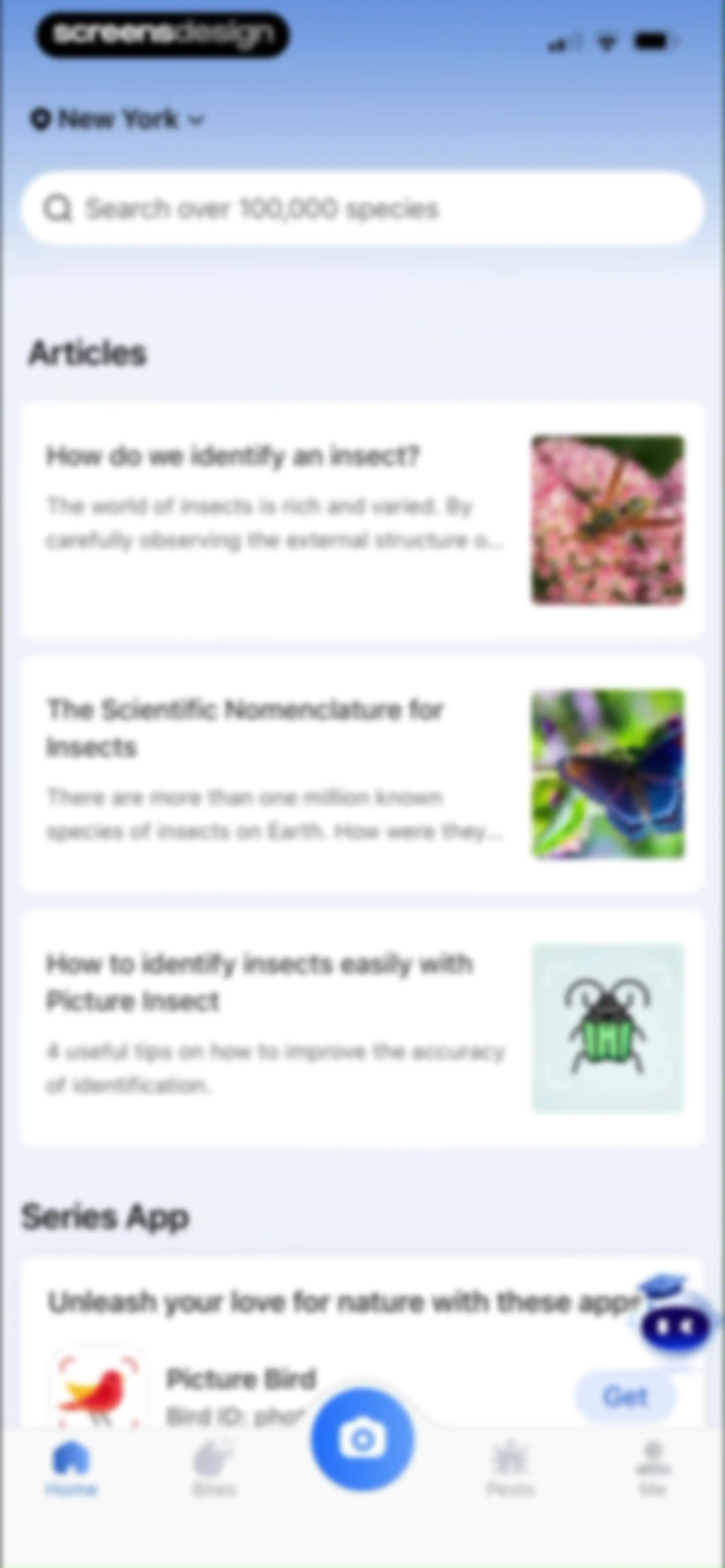 Picture Insect: Bug Identifier screen 79