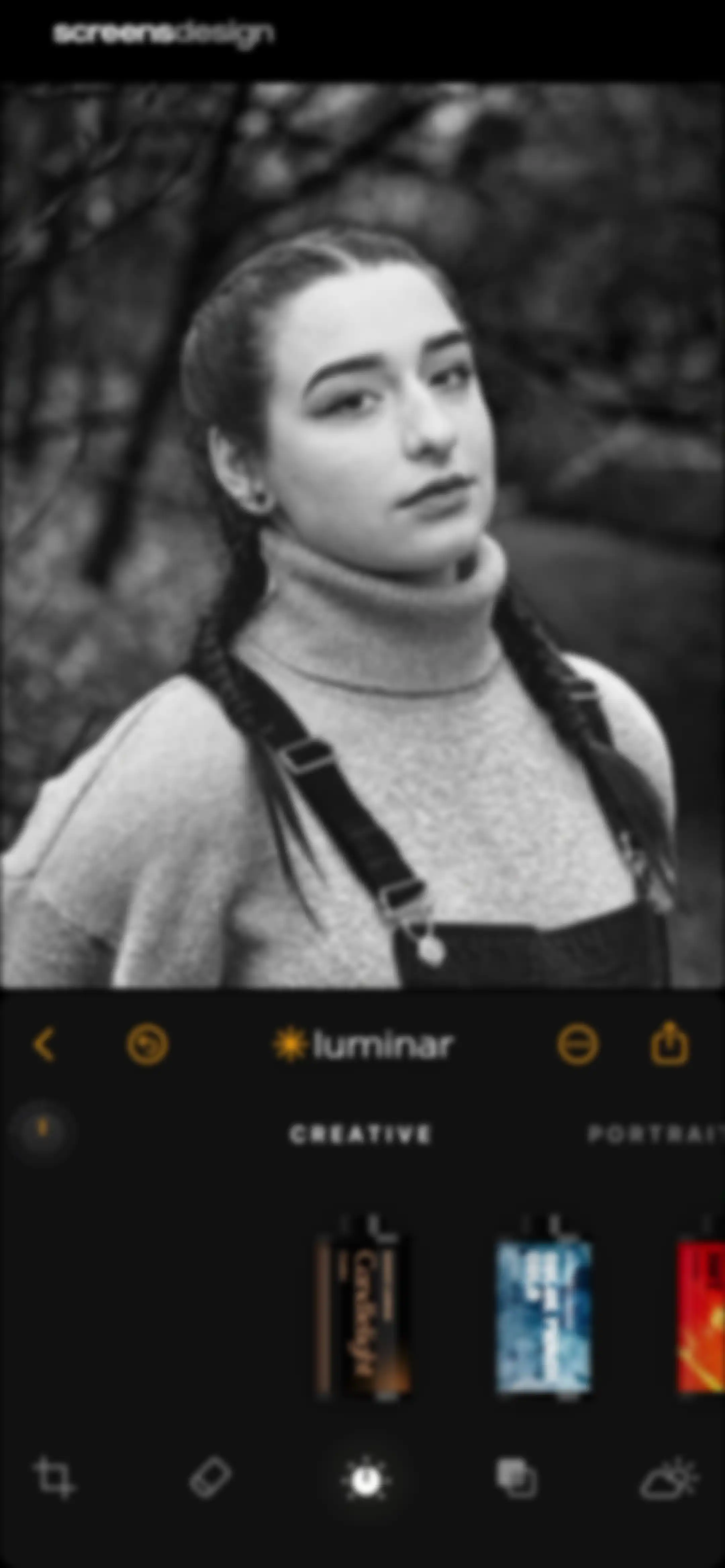 Luminar: Image Editor&Enhancer screen 34