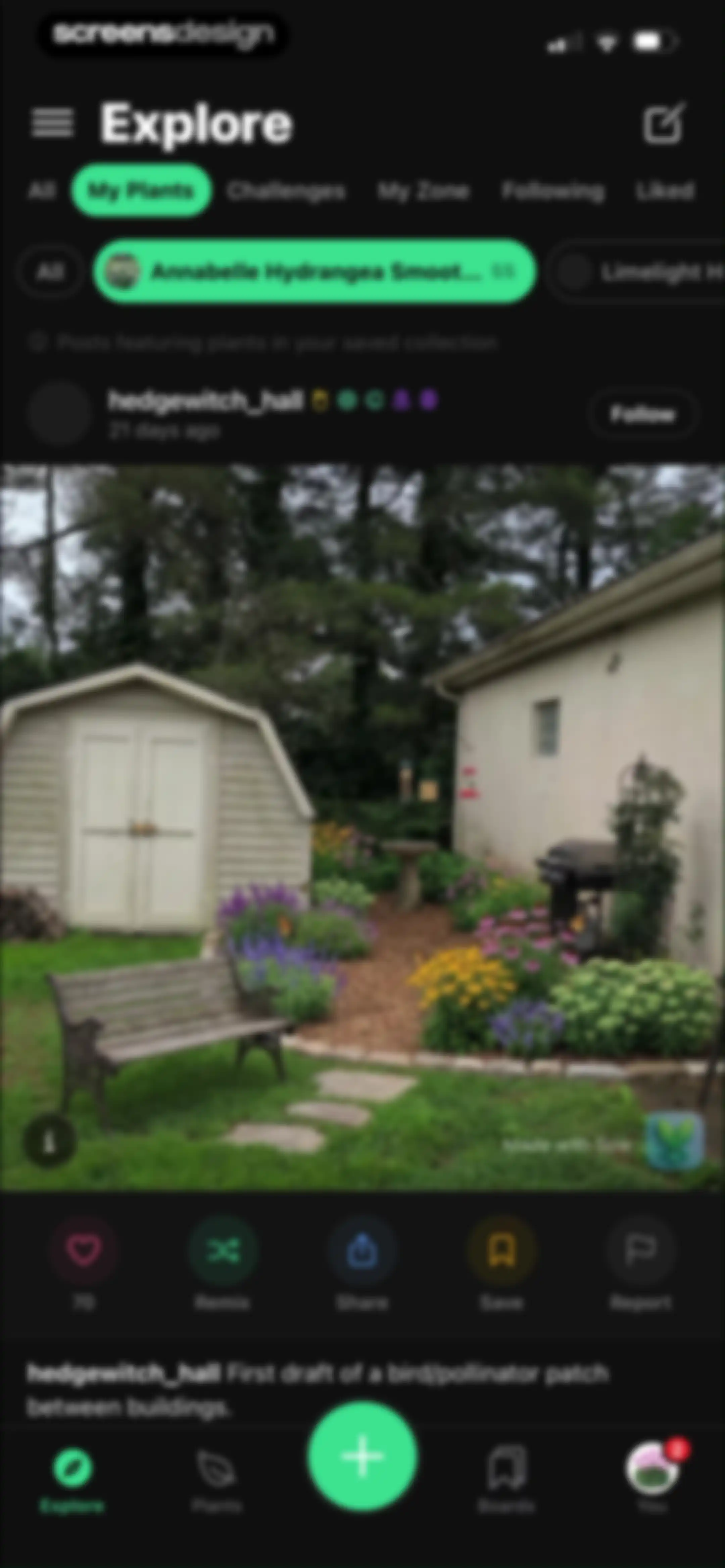 Sow: Garden & Landscape Design screen 96