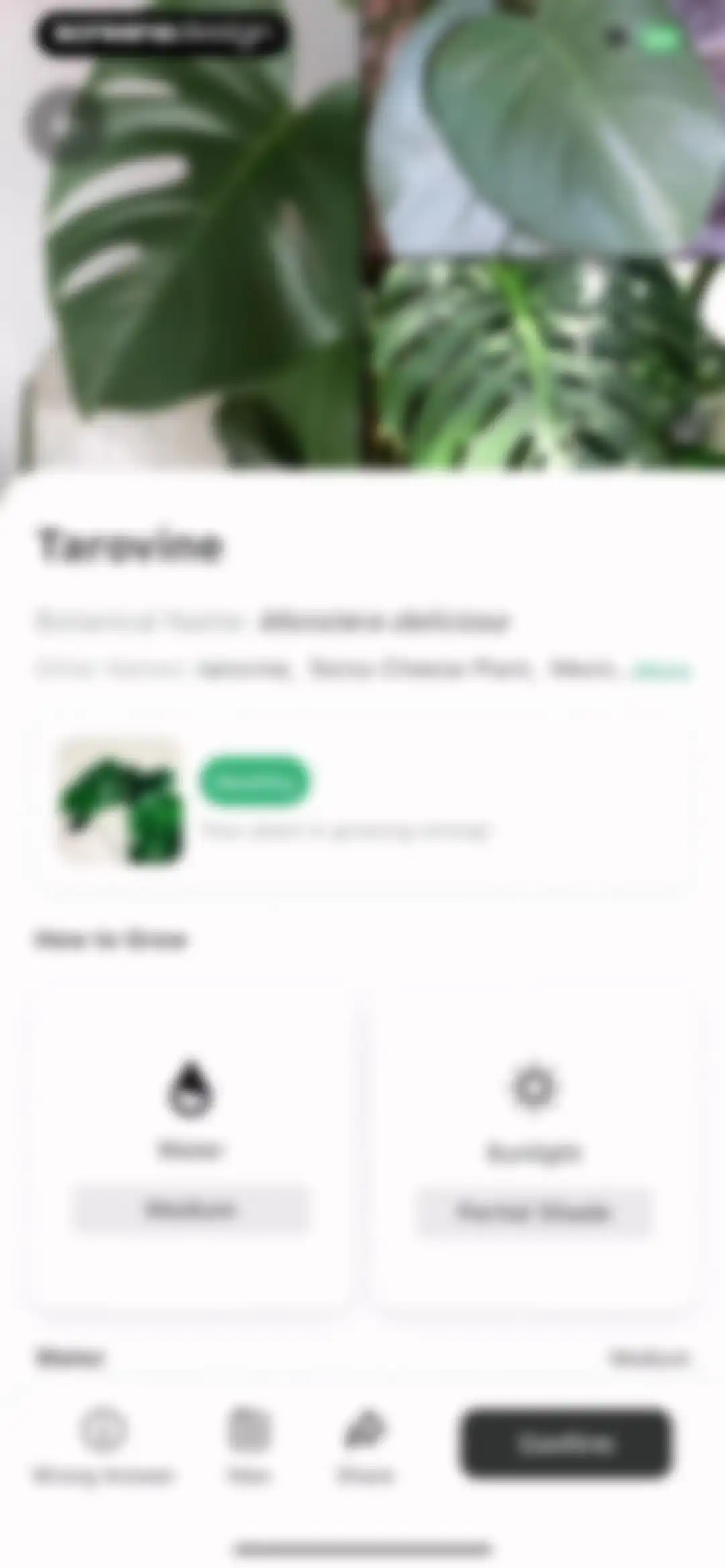 Plant Identification ++ screen 11