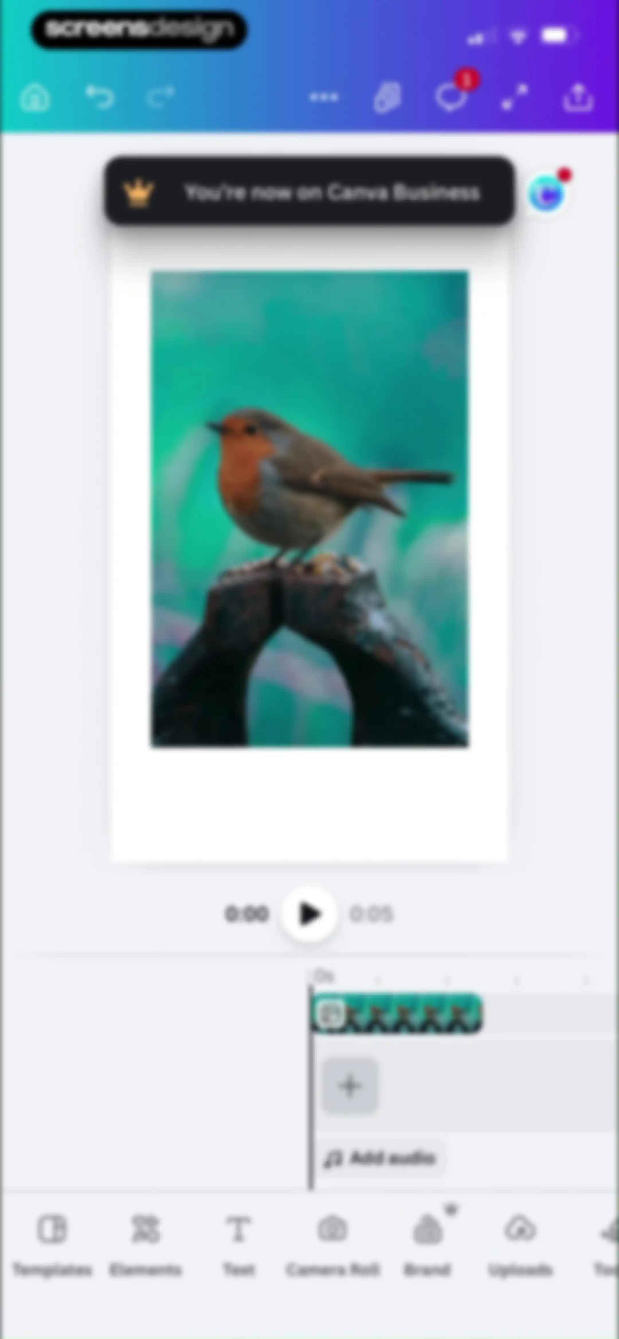 Canva: AI Video & Photo Editor screen 41