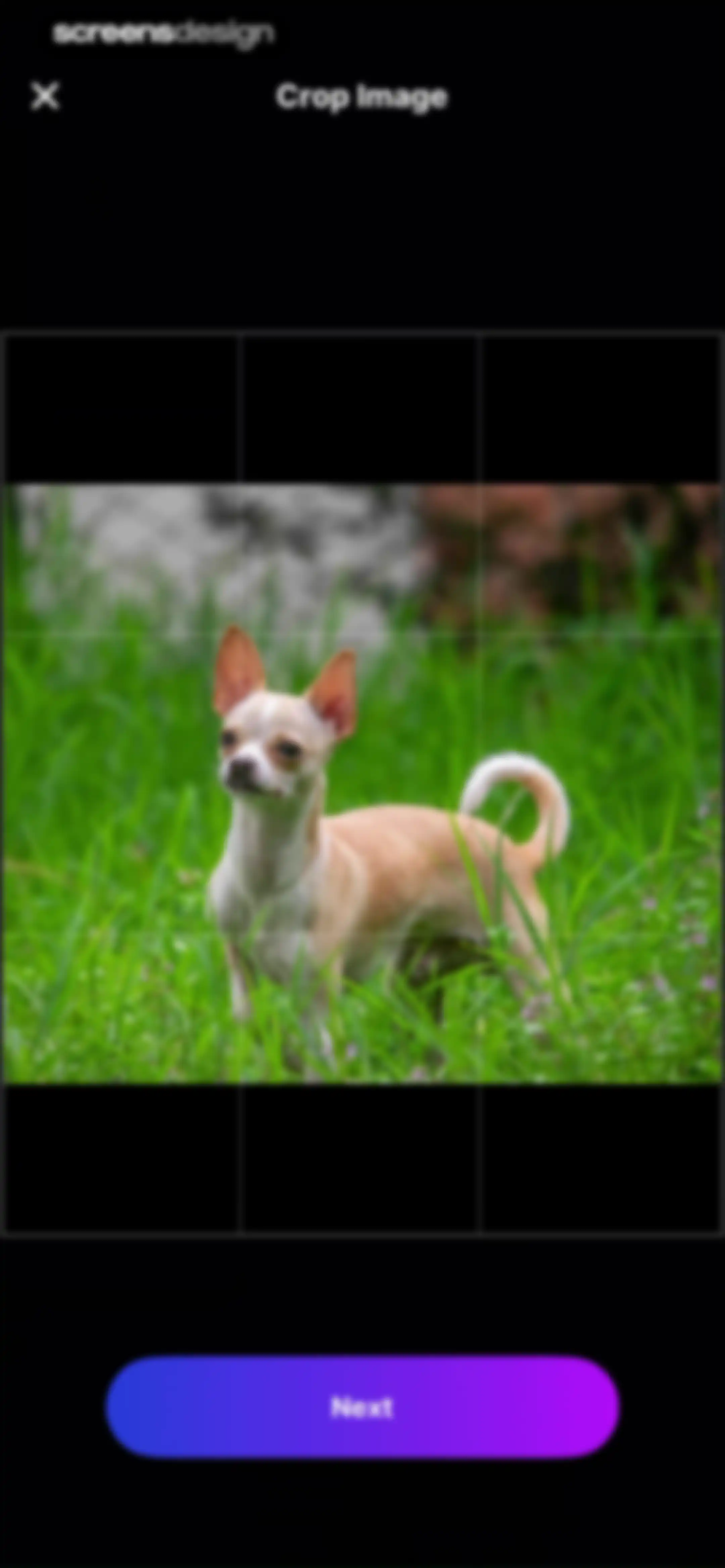 AI Video Generator - Vidmor screen 29