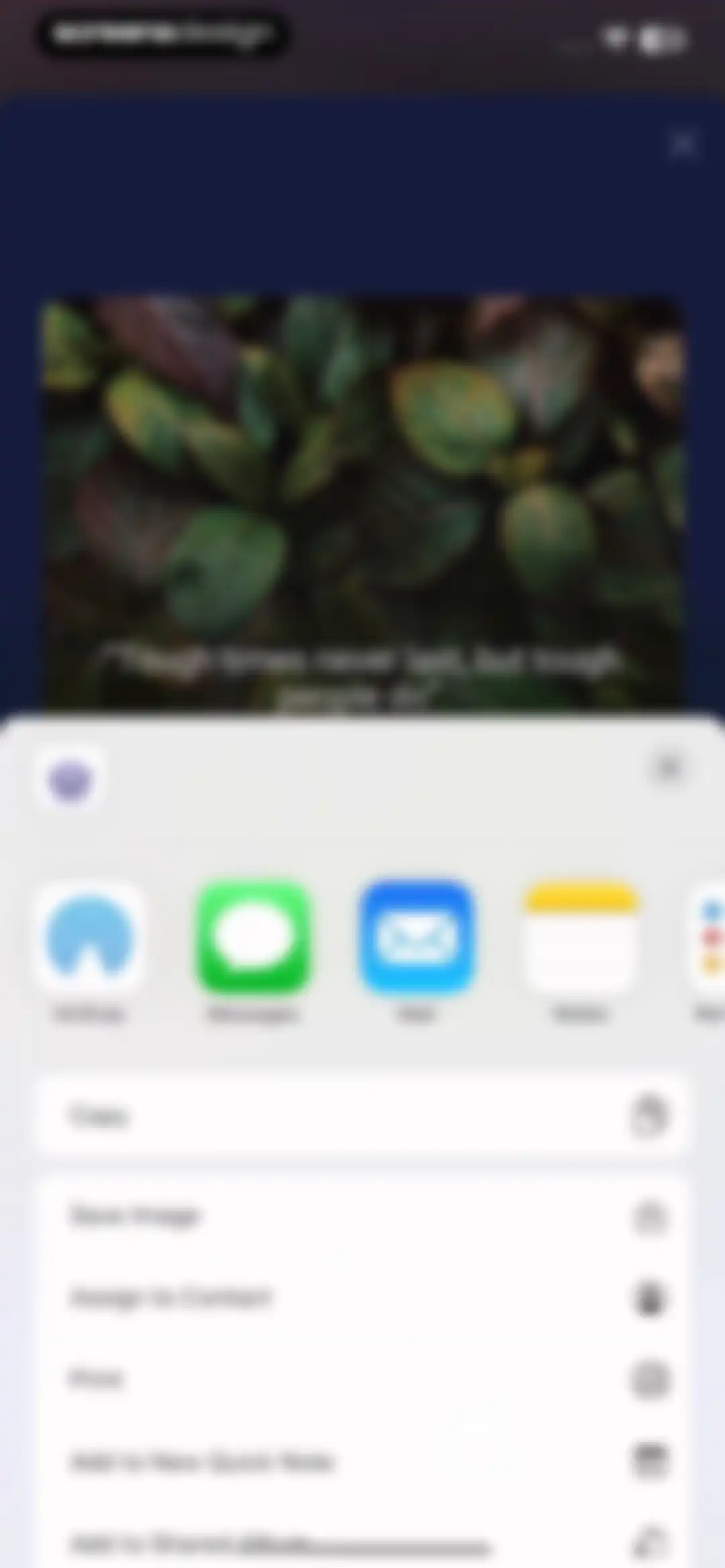 Mo Meditation, Sleep, Recovery screen 49