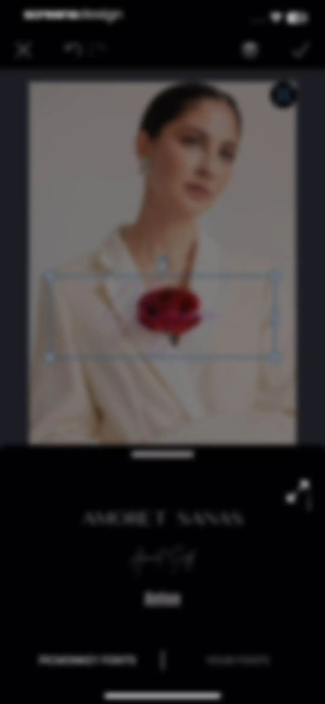 PicMonkey Photo + Video Design screen 50