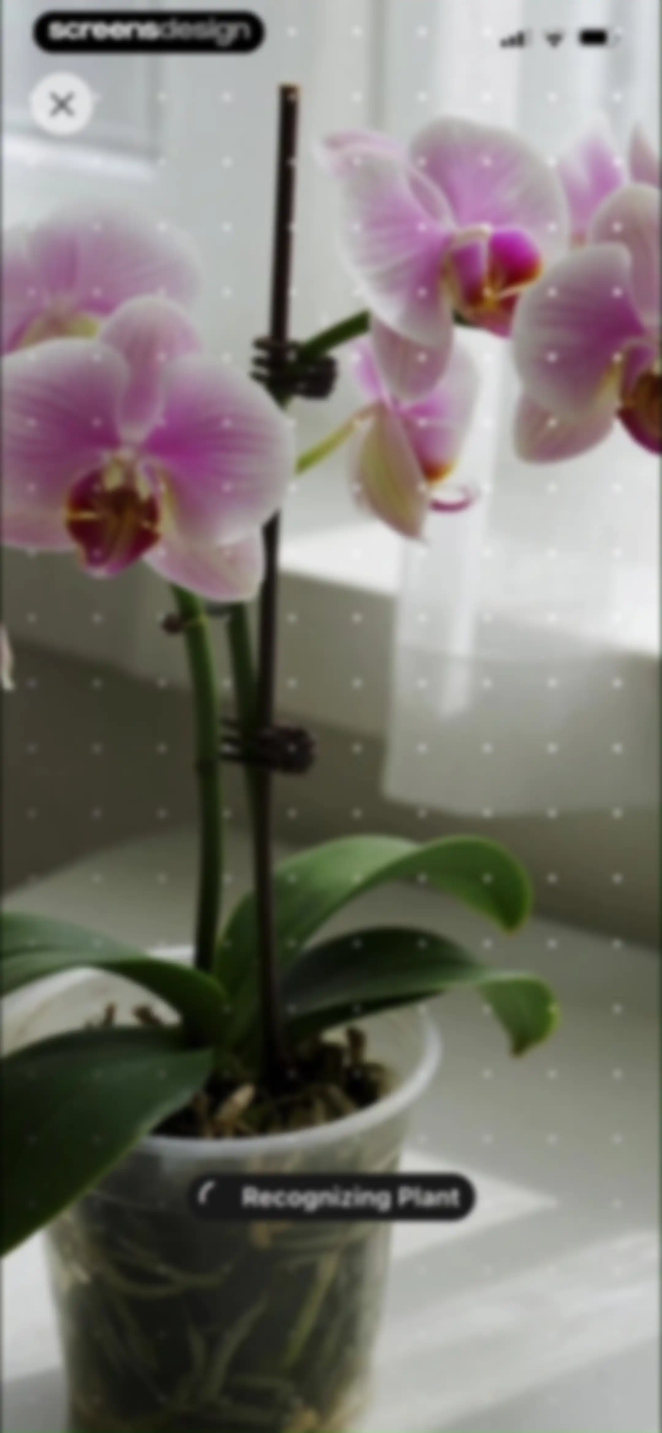 PlantAID:identifier&care guide screen 16