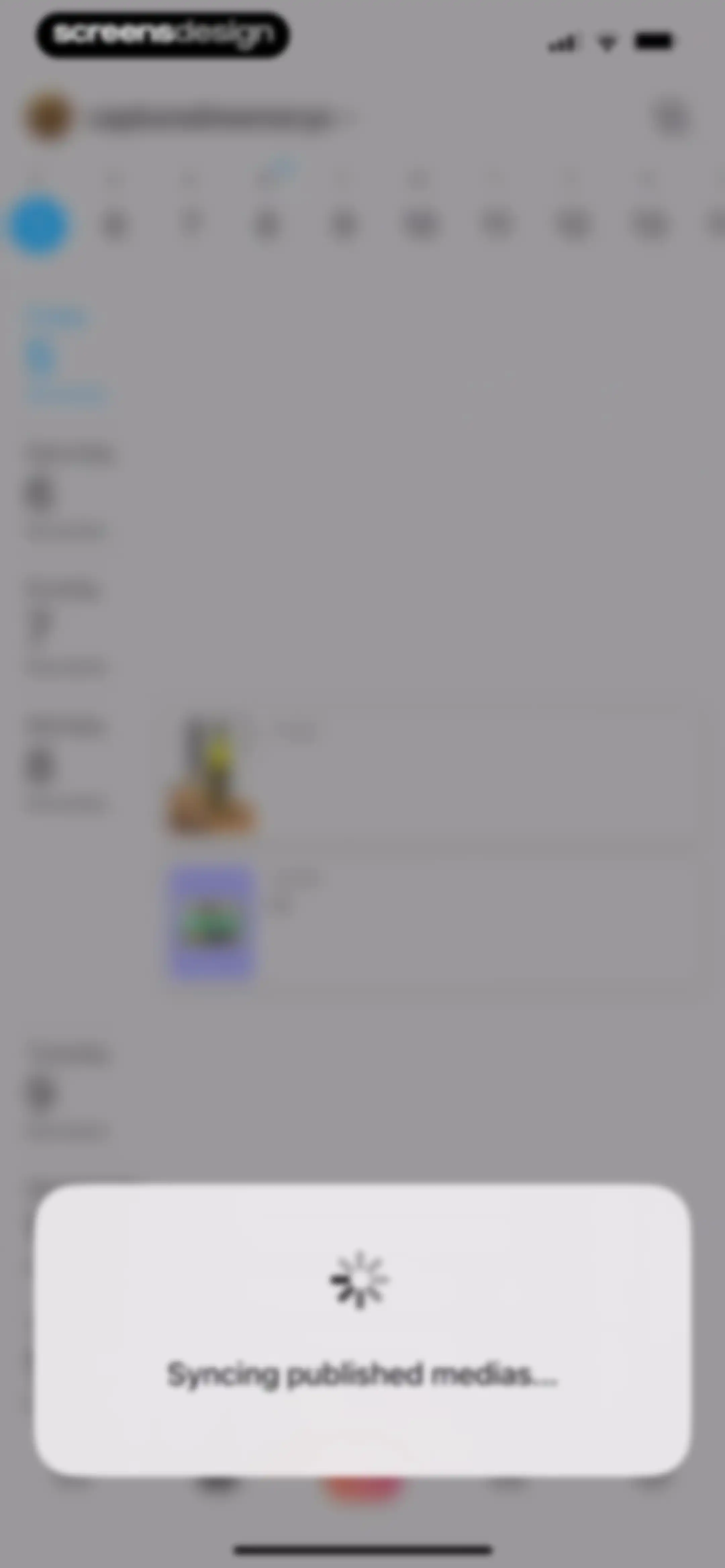 Feed Preview: Planner for IG screen 89