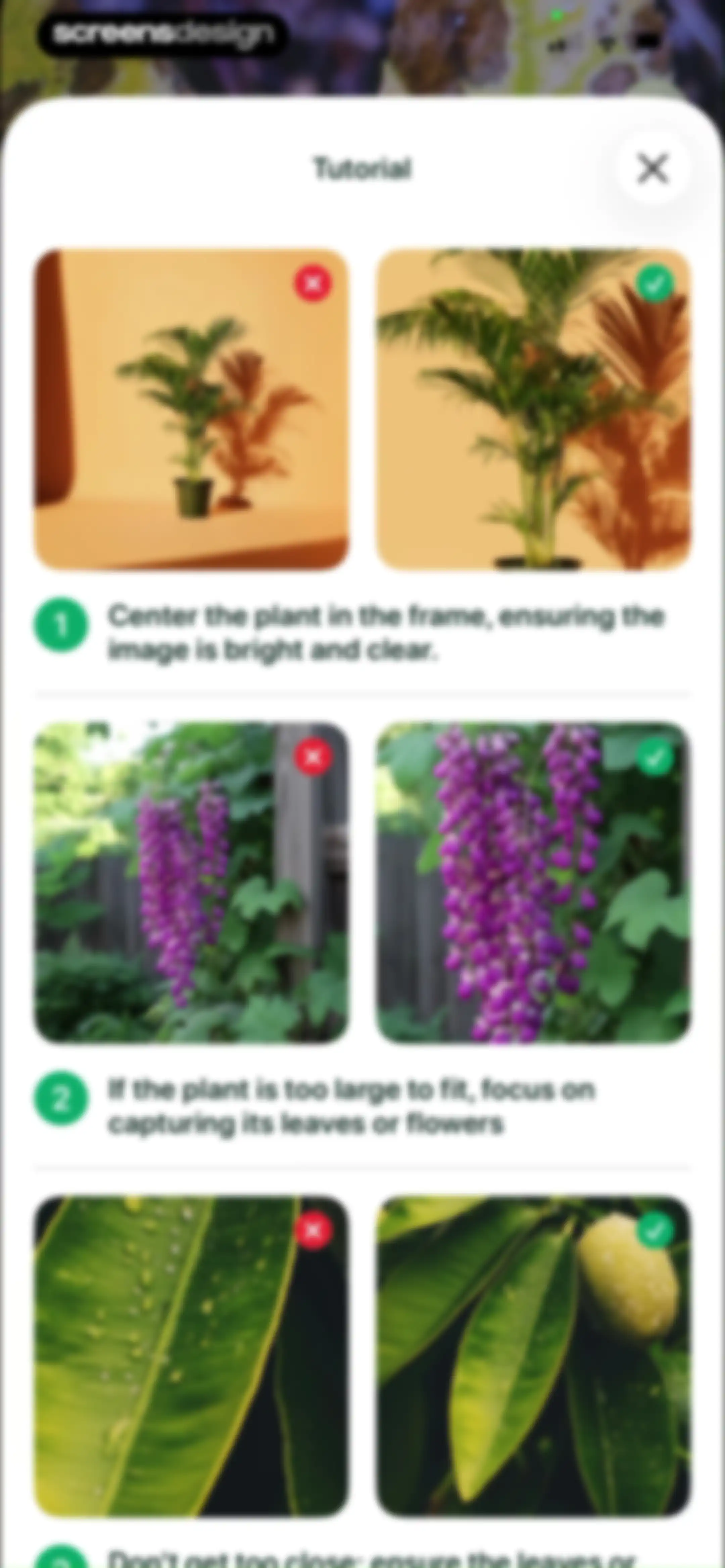 Planto: Plant Identifier screen 25