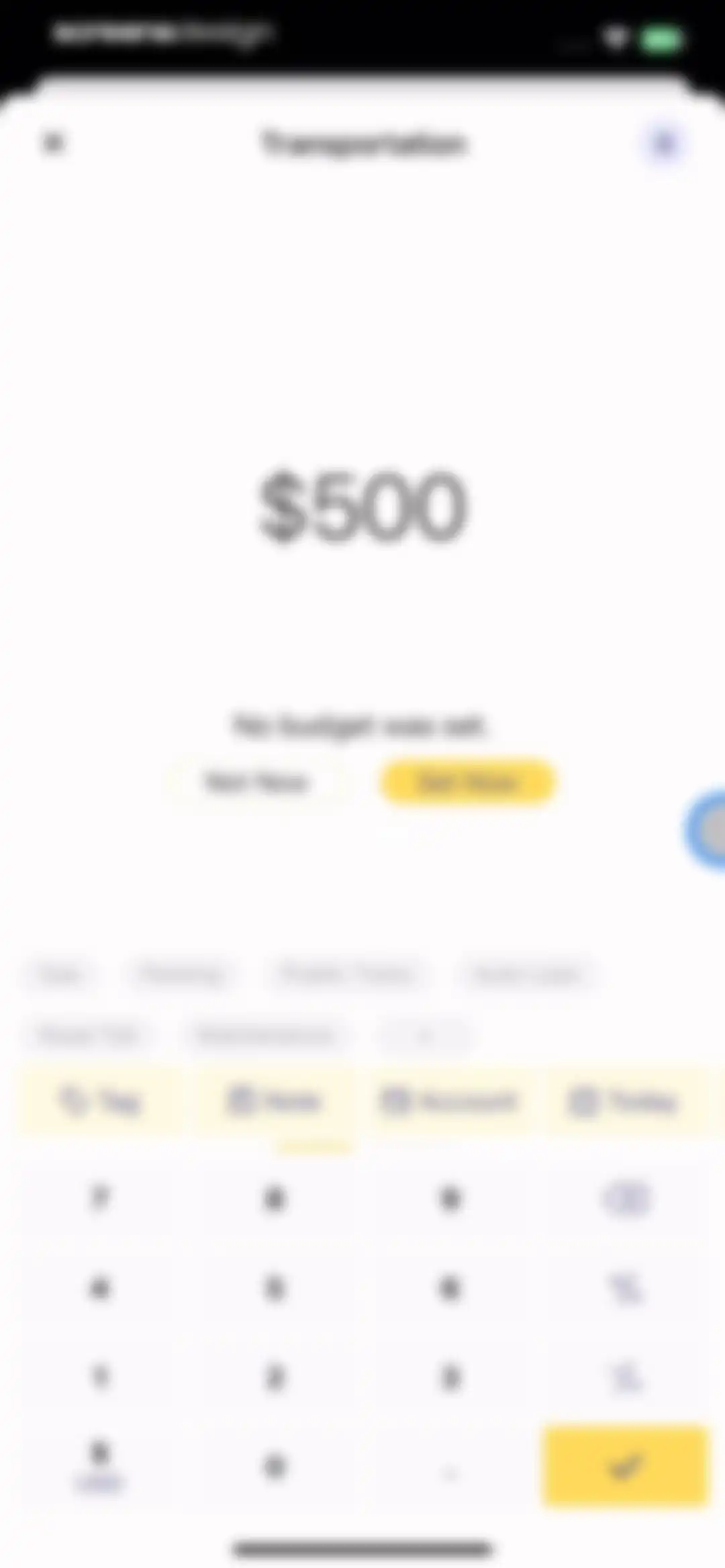Budget app - spending tracker screen 35