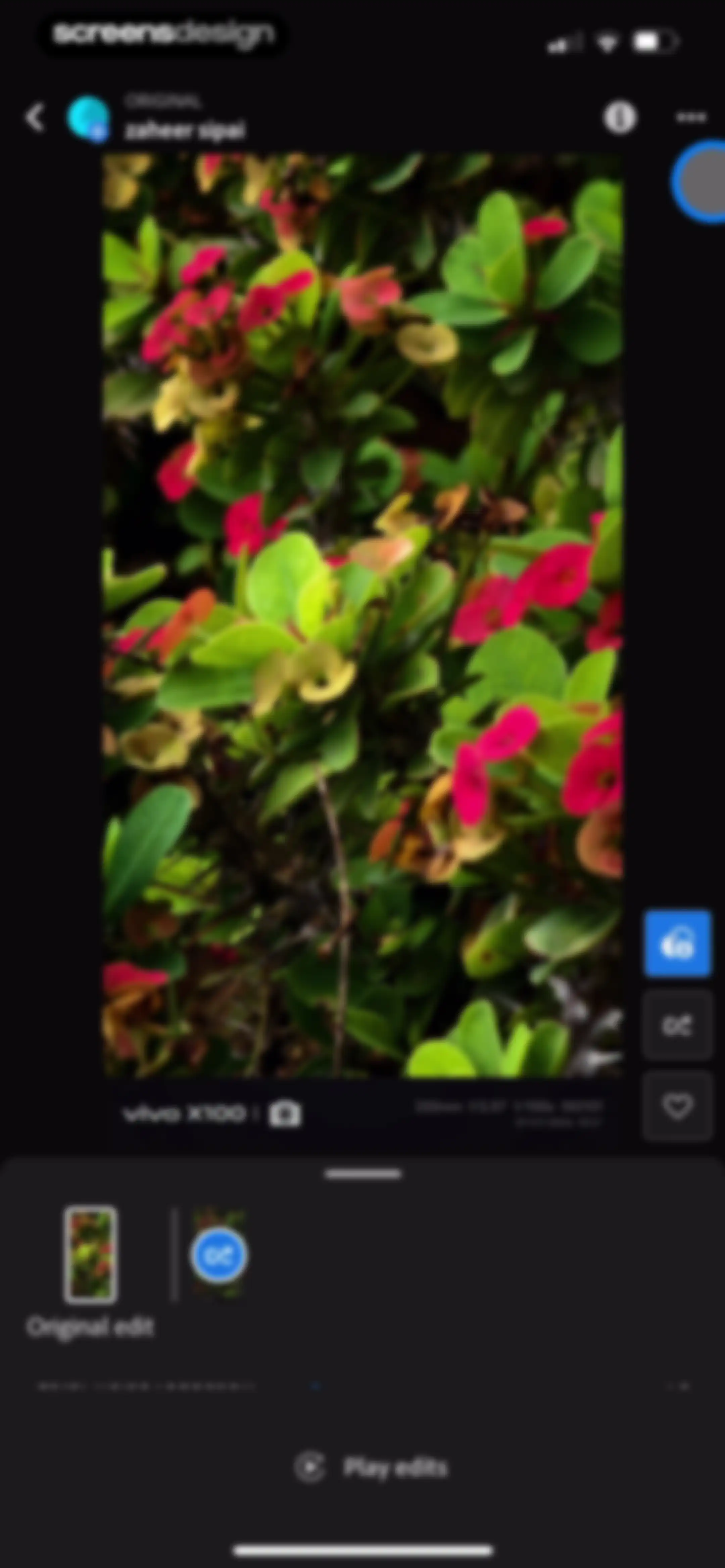 Lightroom: AI Photo Editor screen 176