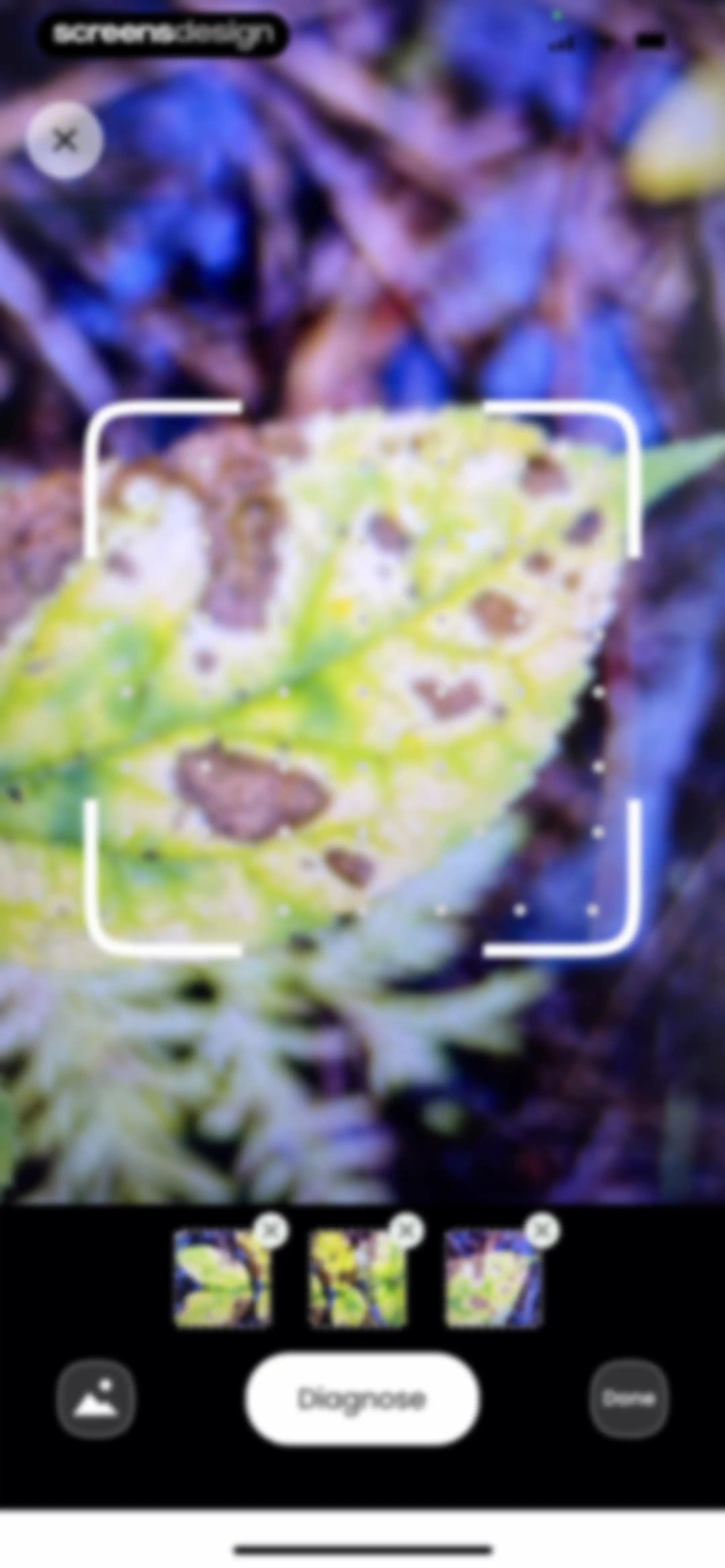 Plant Identifier: Plantiary screen 72