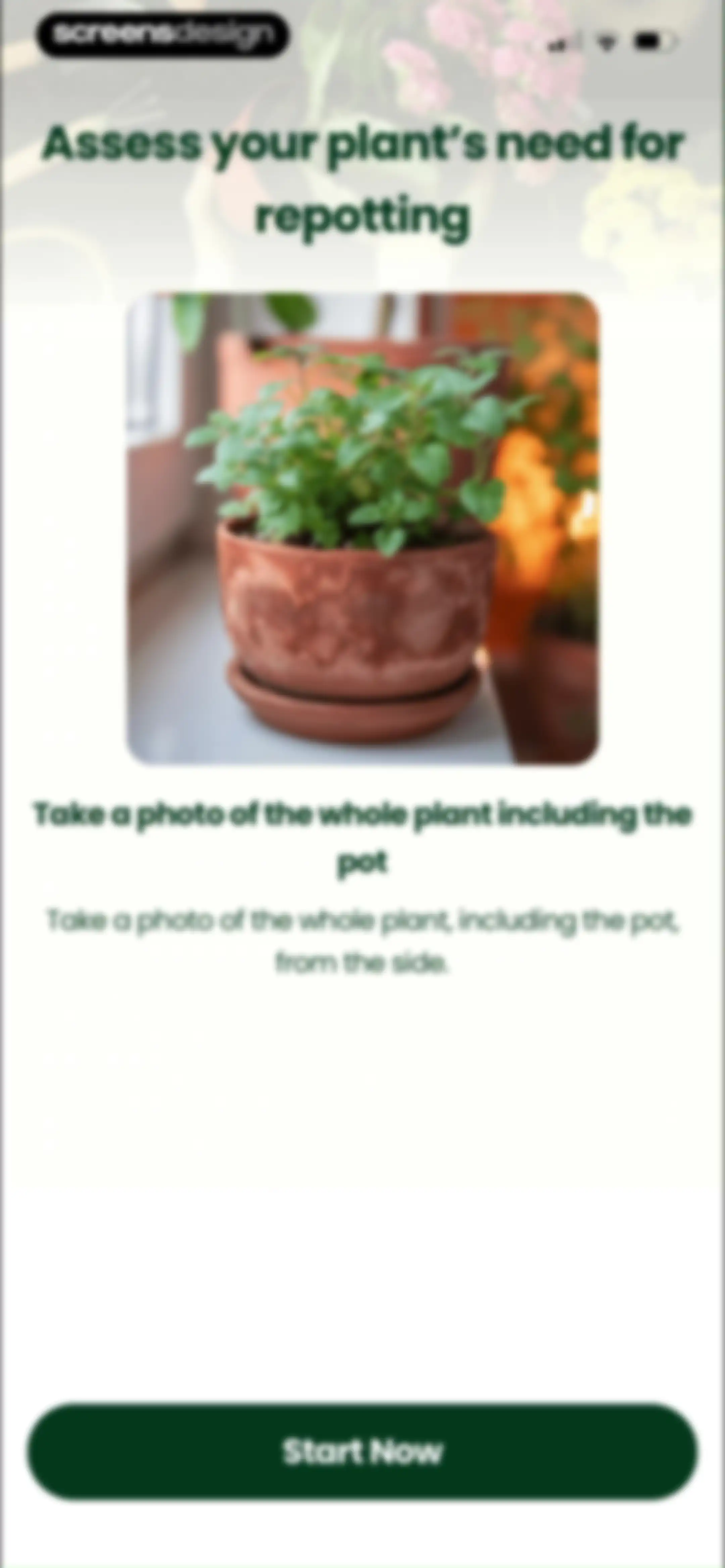 PlantAI: Identifier & Diagnose screen 82