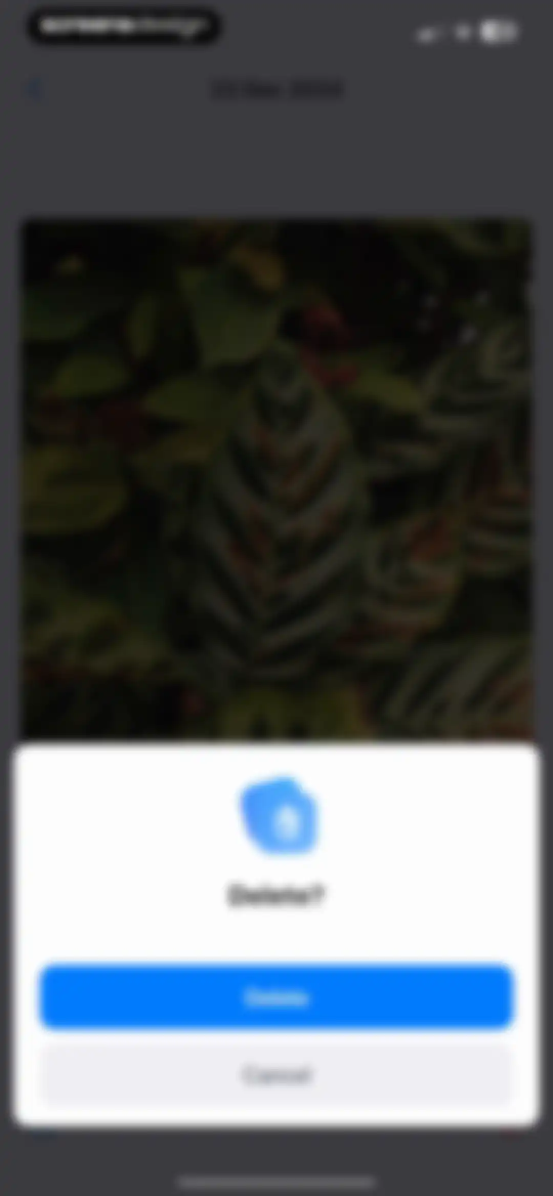 Darksy: Smart Storage Cleaner screen 62