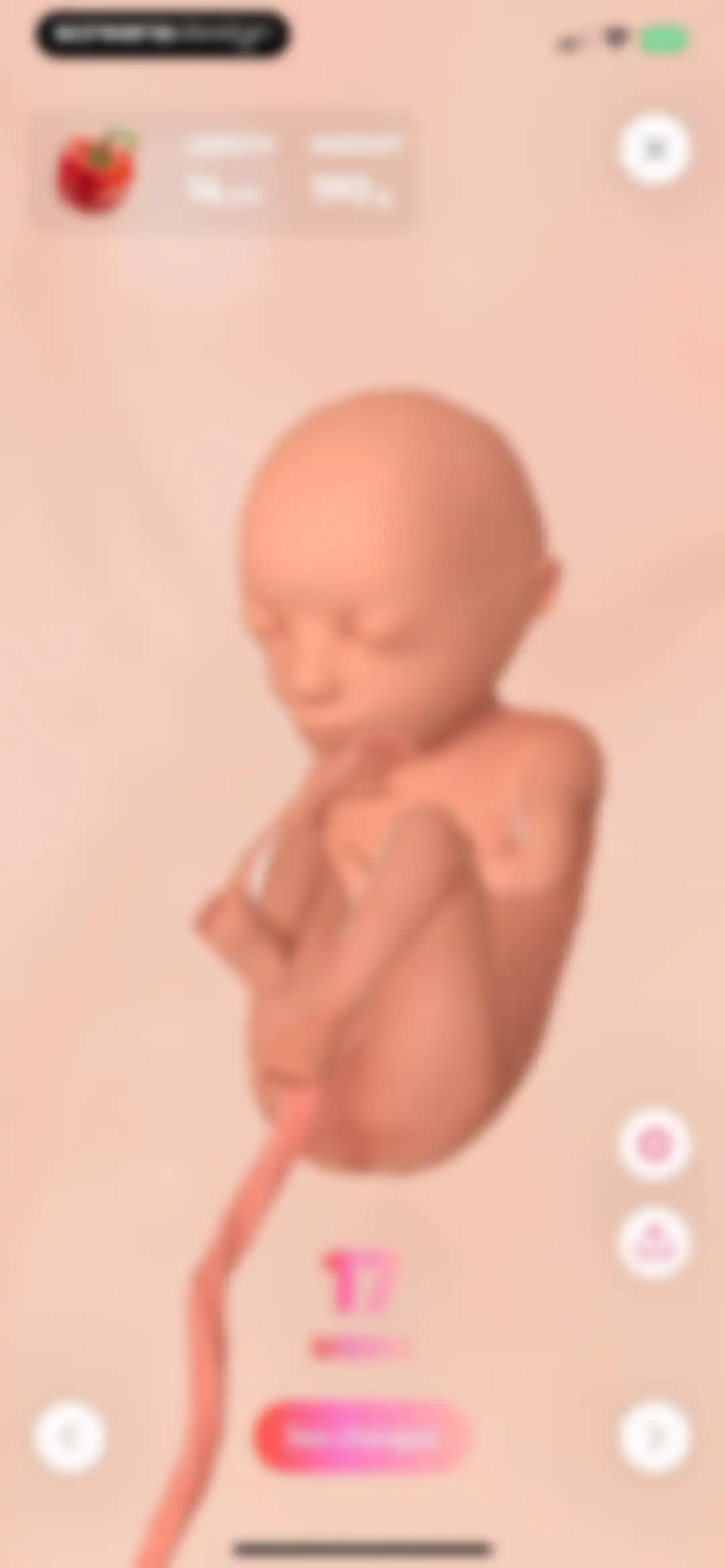 WeMoms - Pregnancy & Baby App screen 14
