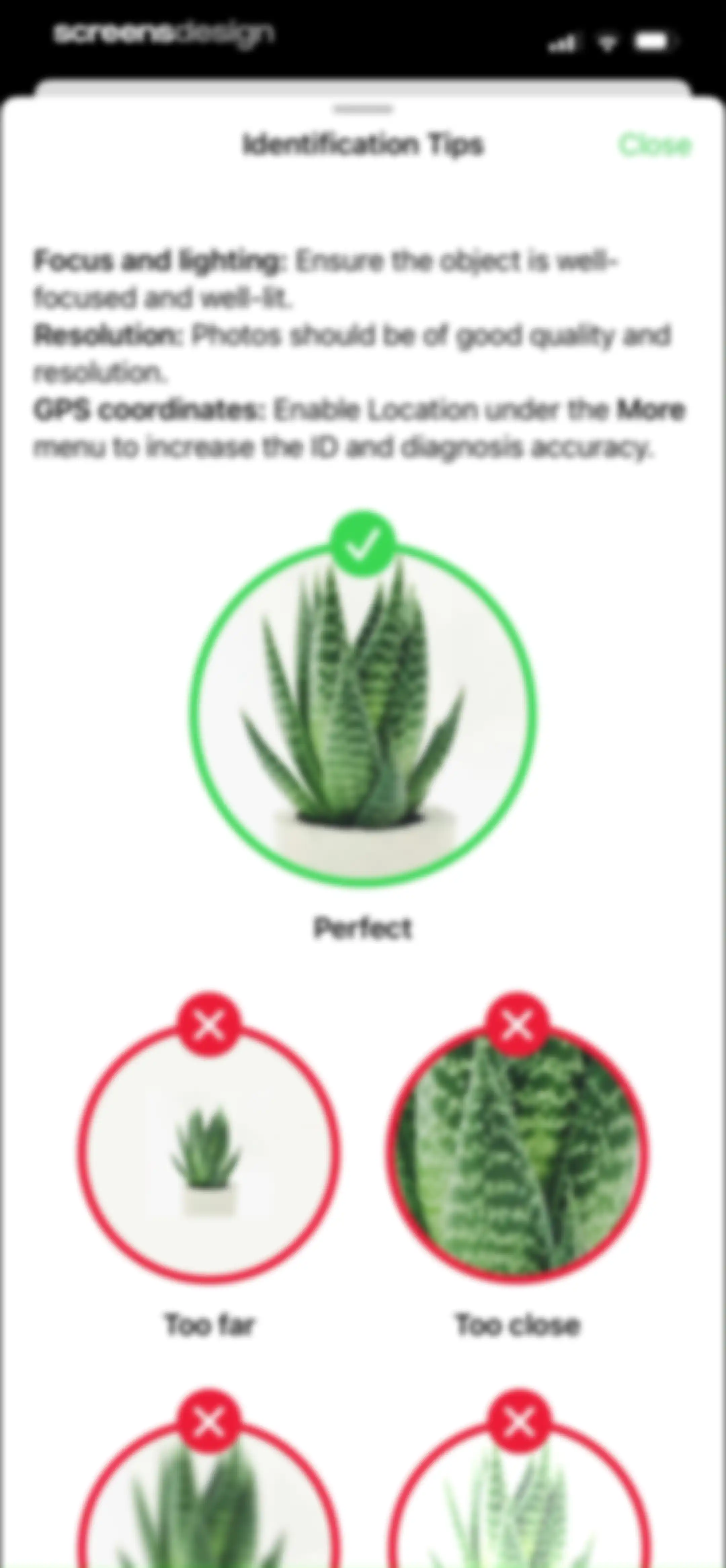 Free Plant Identifier screen 63