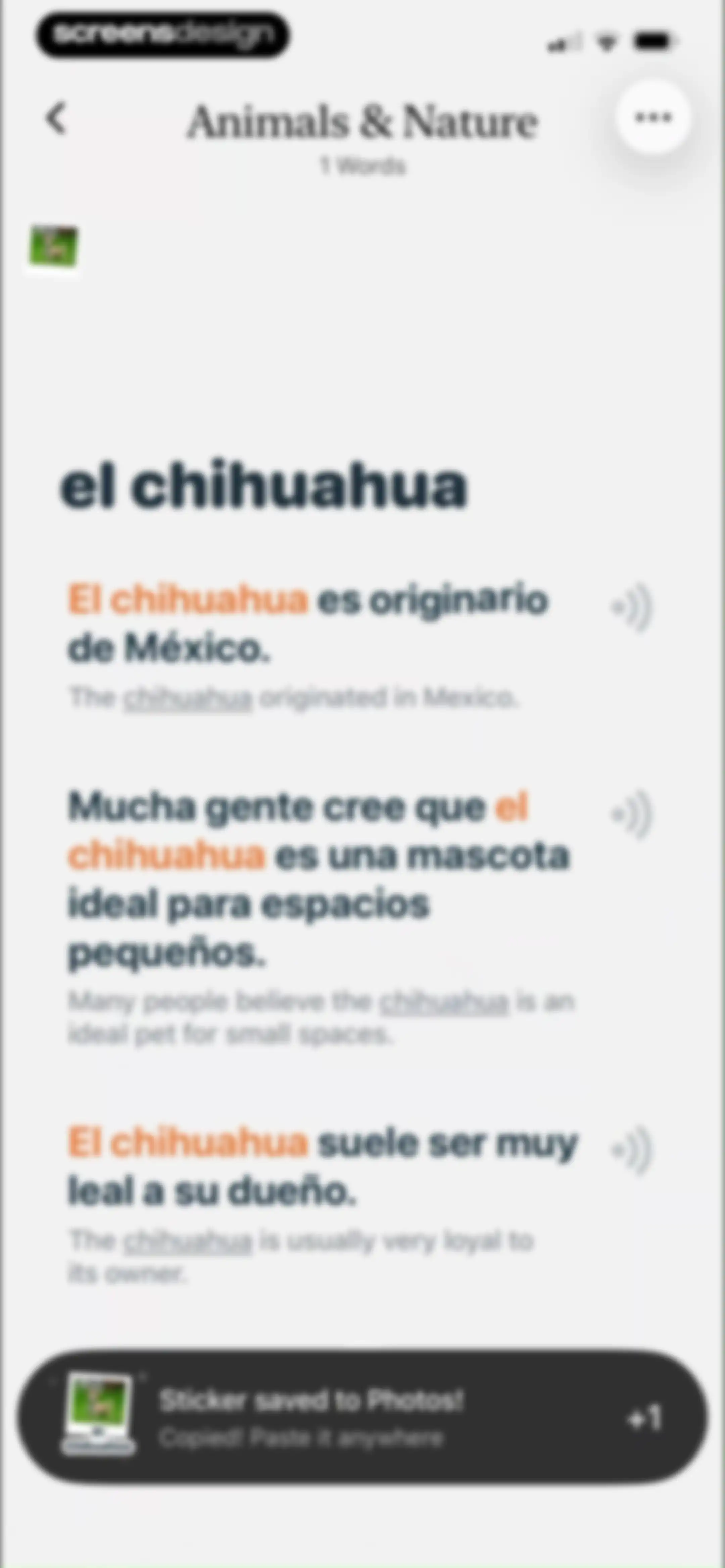 CapWords: AI Language Tutor screen 52
