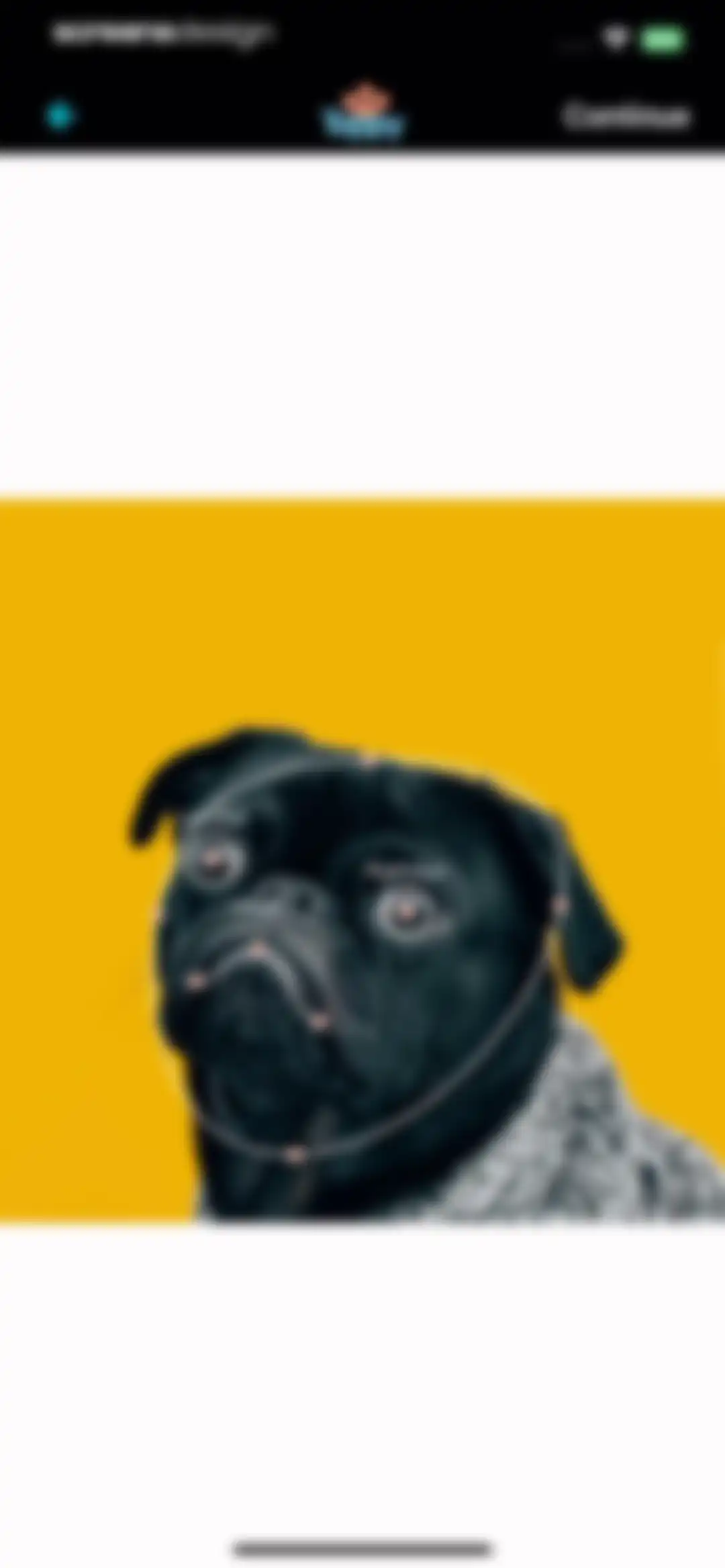 My Talking Animal & Pet App screen 14