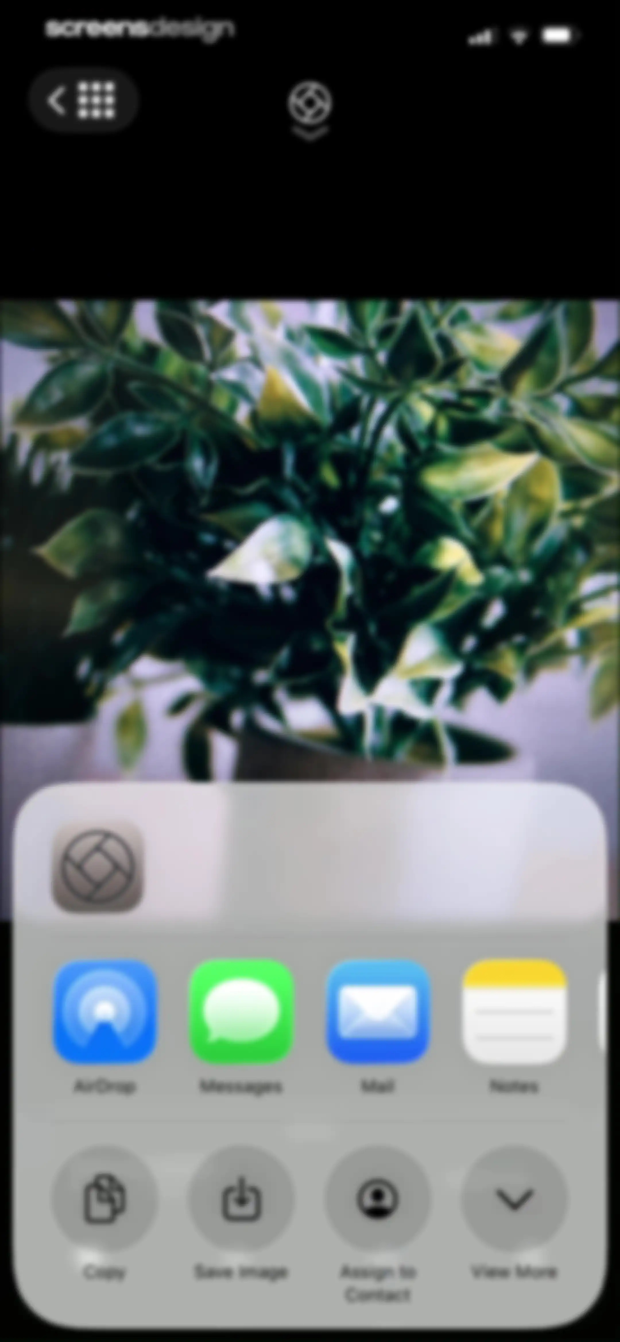 Halide Mark III - Pro Camera screen 54