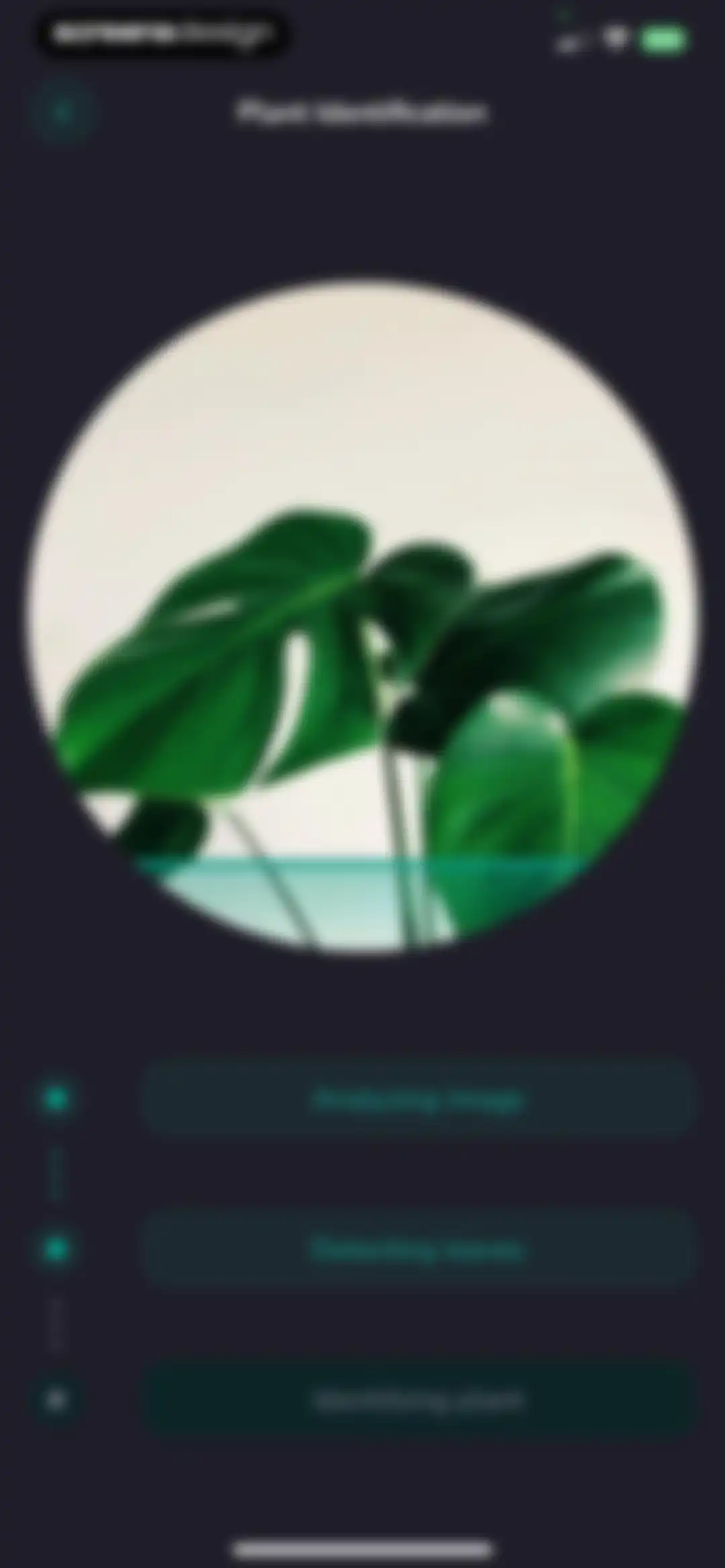 Plantfie・Plant Care Identifier screen 51
