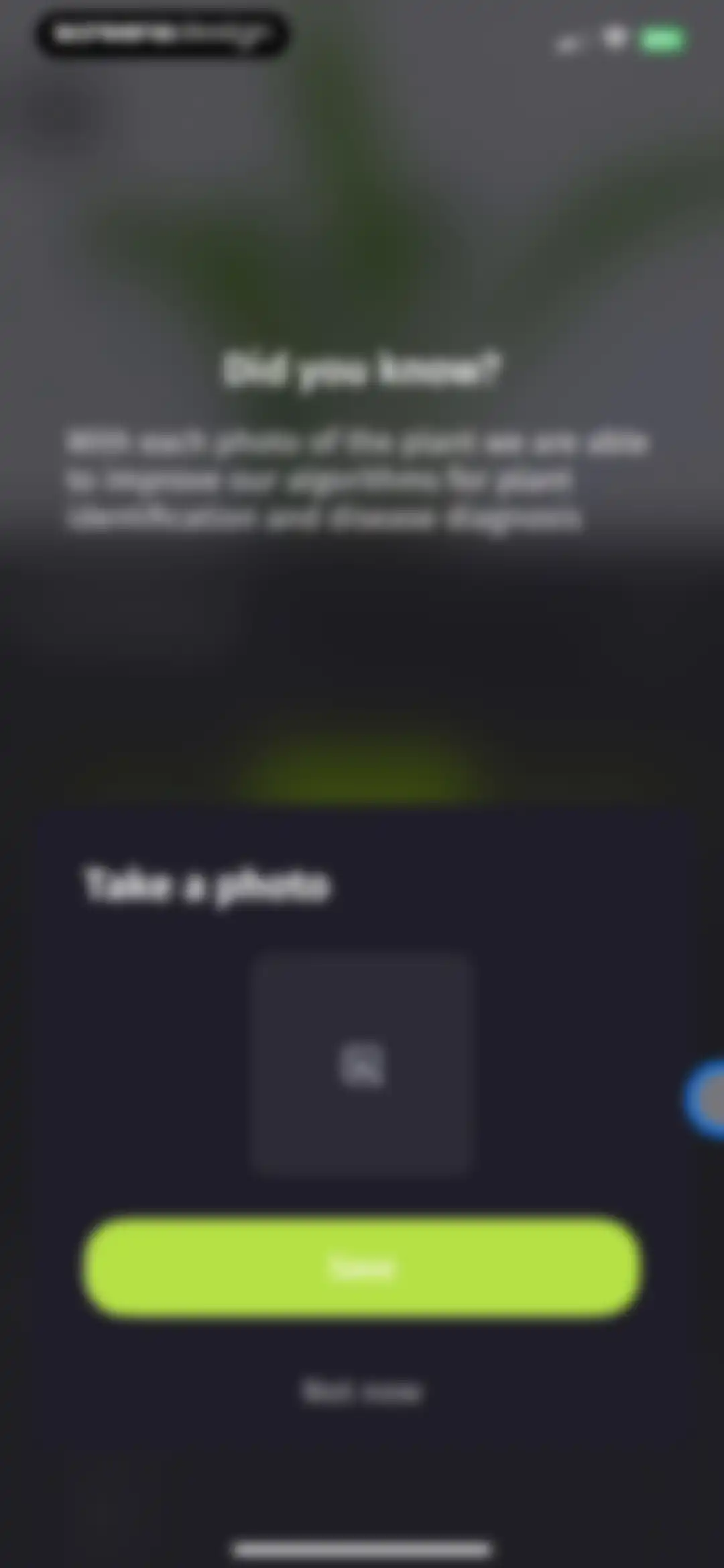 Plantion - Plant Identifier screen 45
