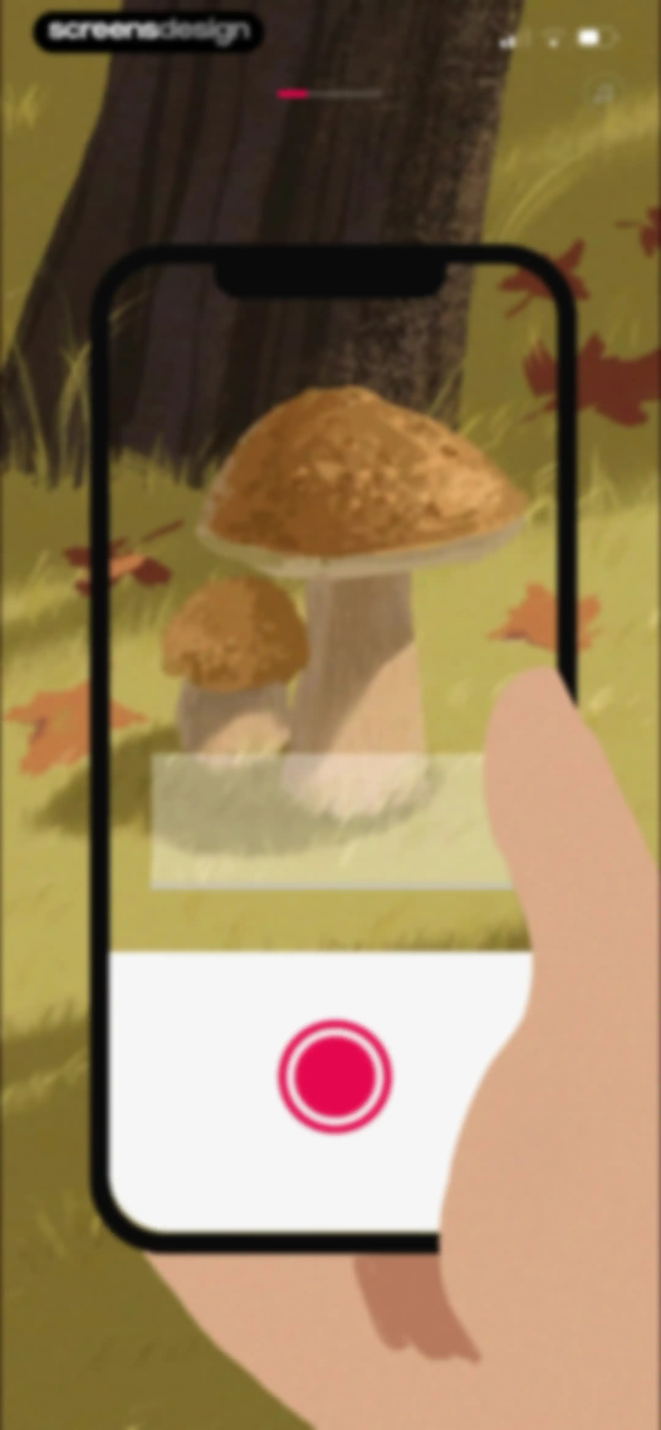 Picture Mushroom: Identifier screen 7