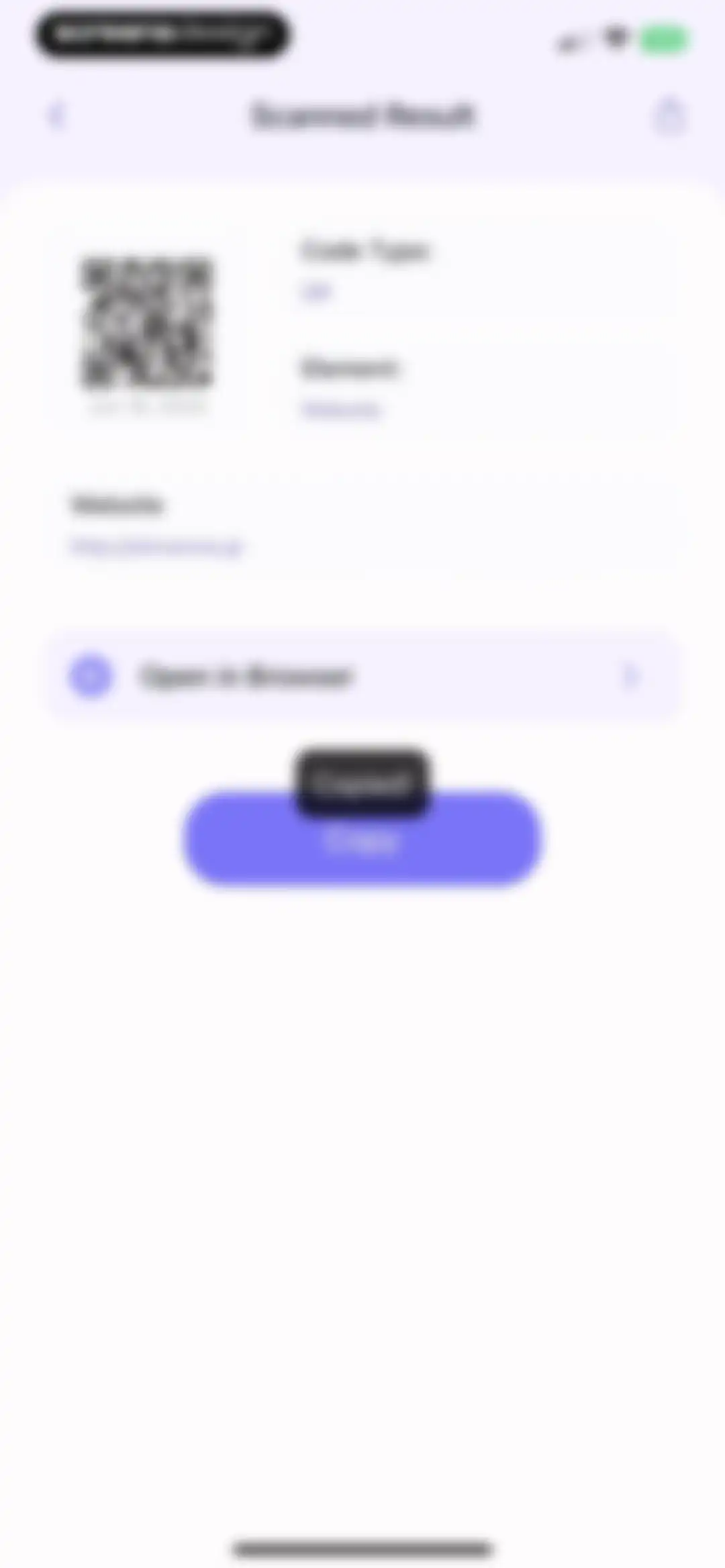 QR Reader for mobile screen 10