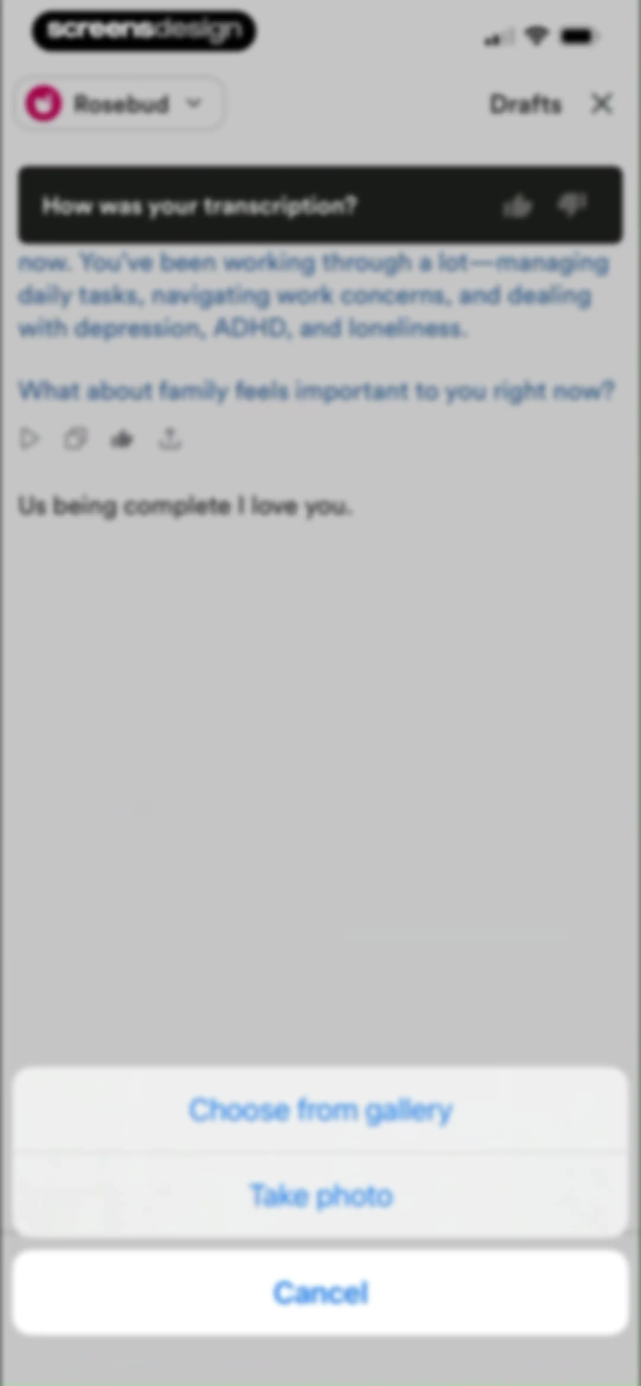 Rosebud: AI Journal & Diary screen 59