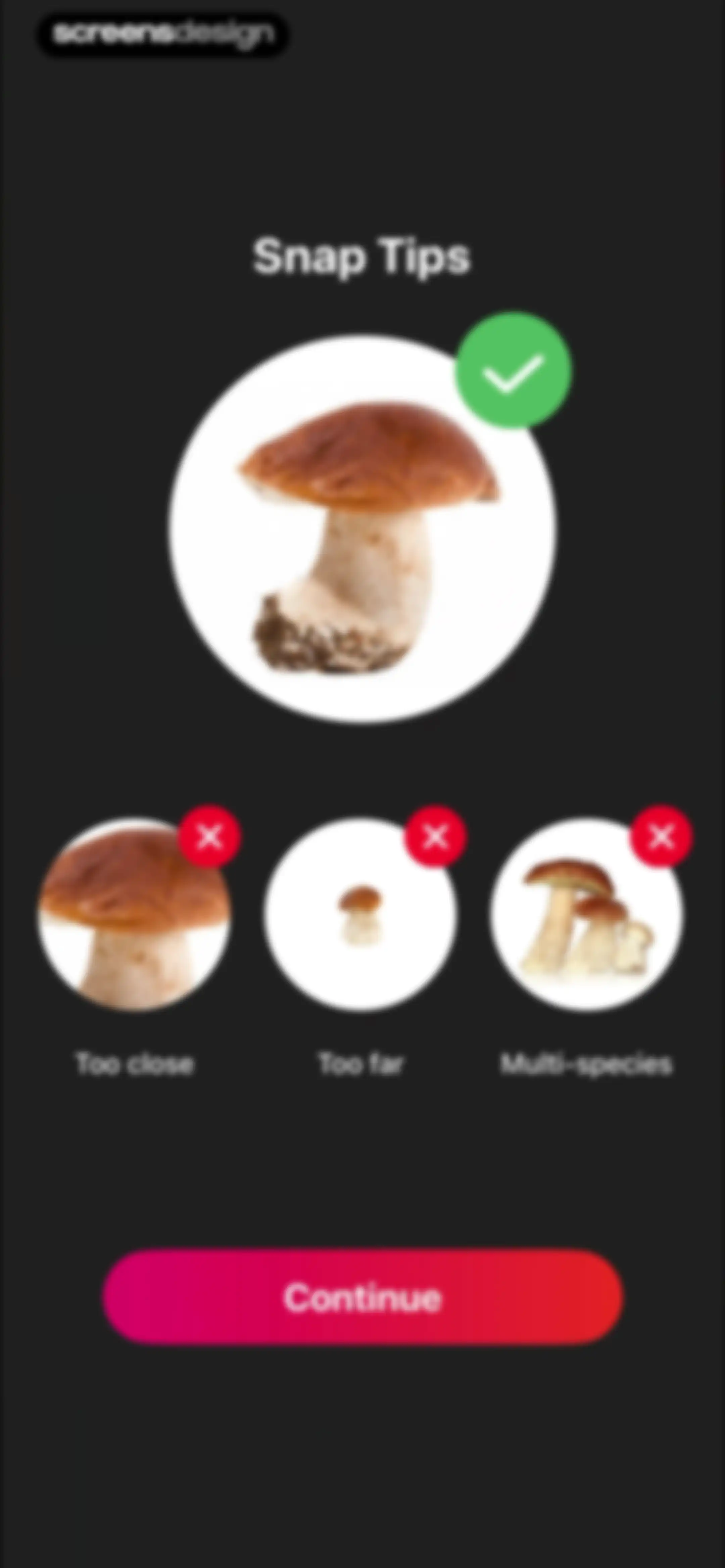 Picture Mushroom: Identifier screen 18