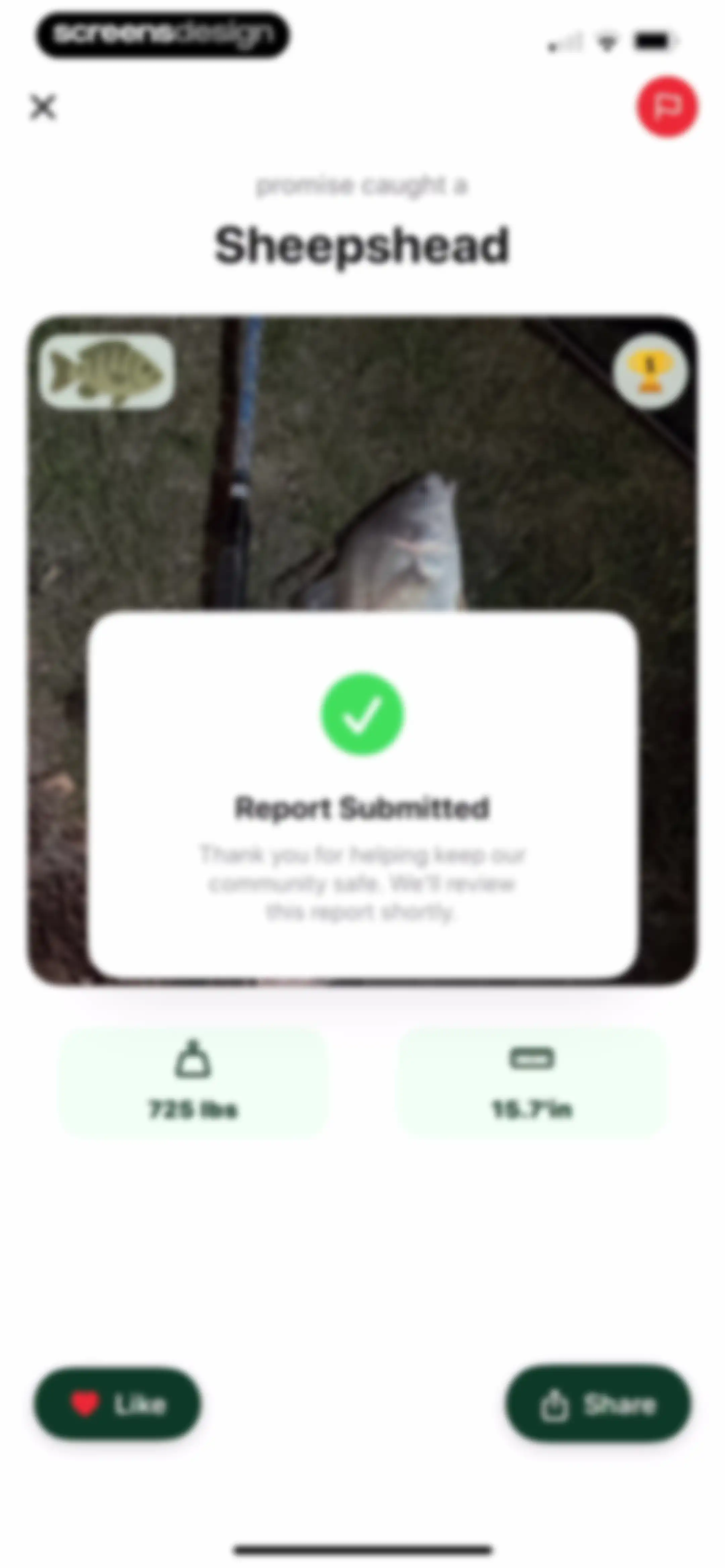 Catchr: Fish Identifier screen 48