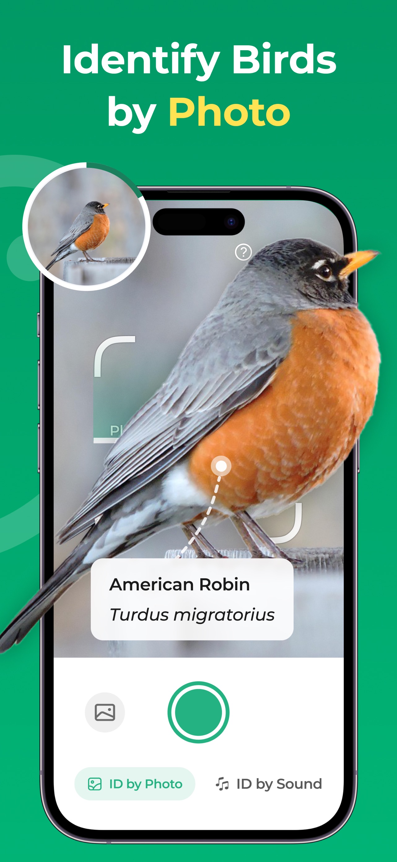 Bird Identifier: BirdScope App Store screenshot 2