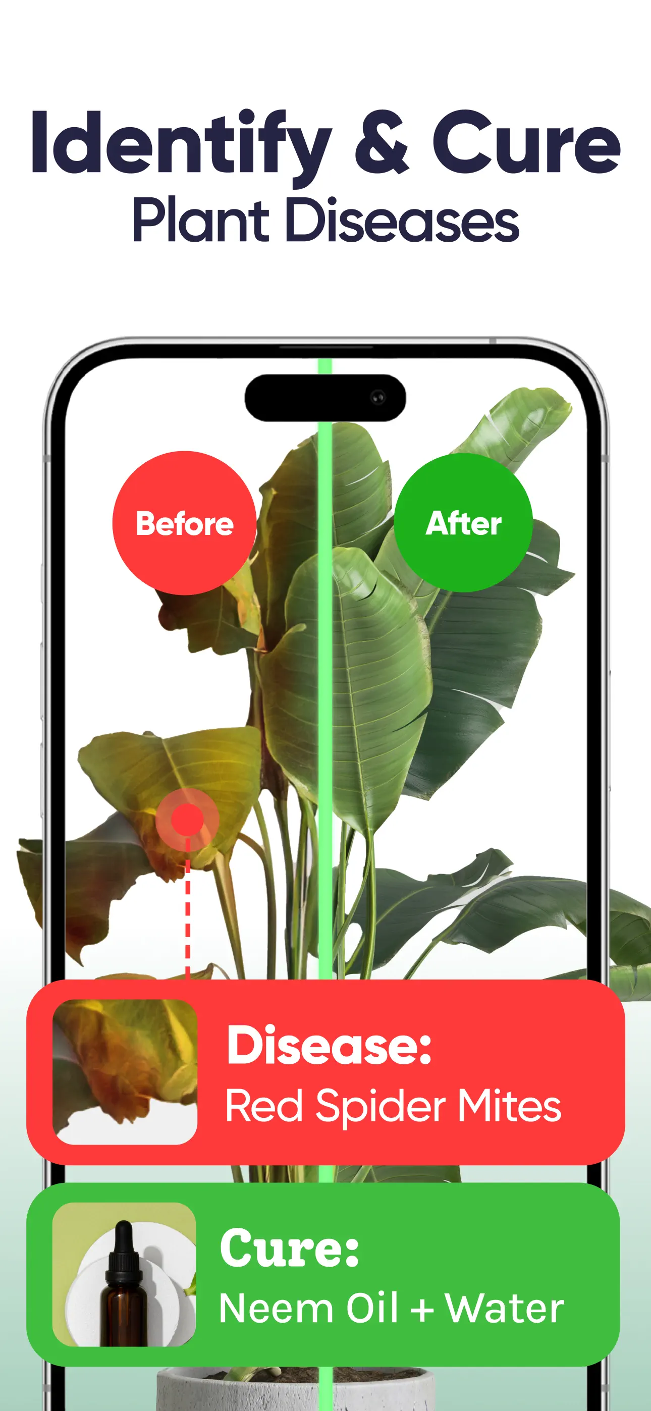 Plant Identifier, Care: Planty App Store screenshot 4