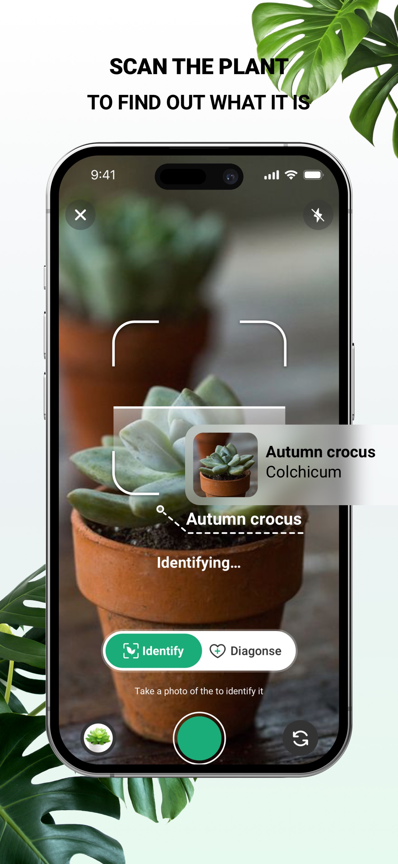 PlantDaily: AI Plant Care App Store screenshot 2