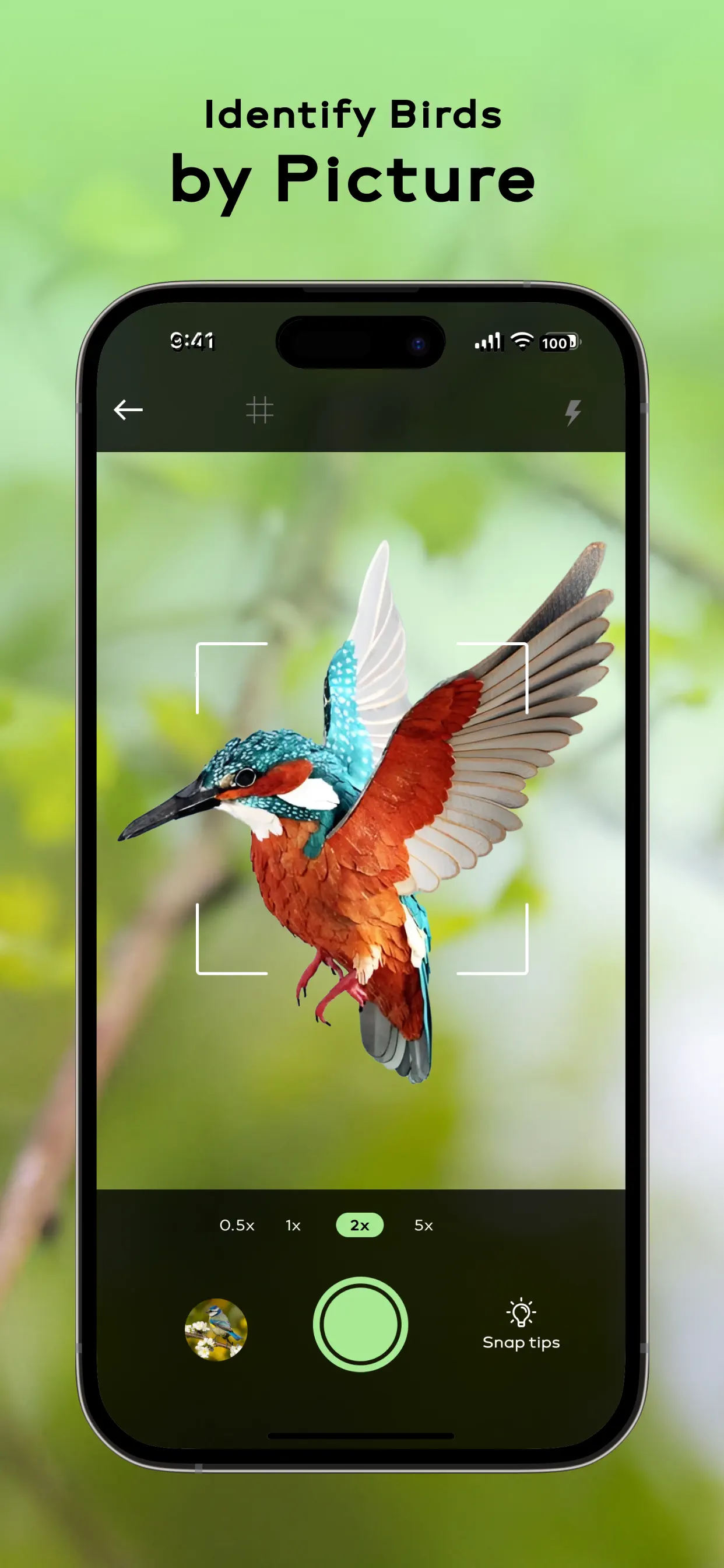 Bird Sounds Identifier Call ID App Store screenshot 4