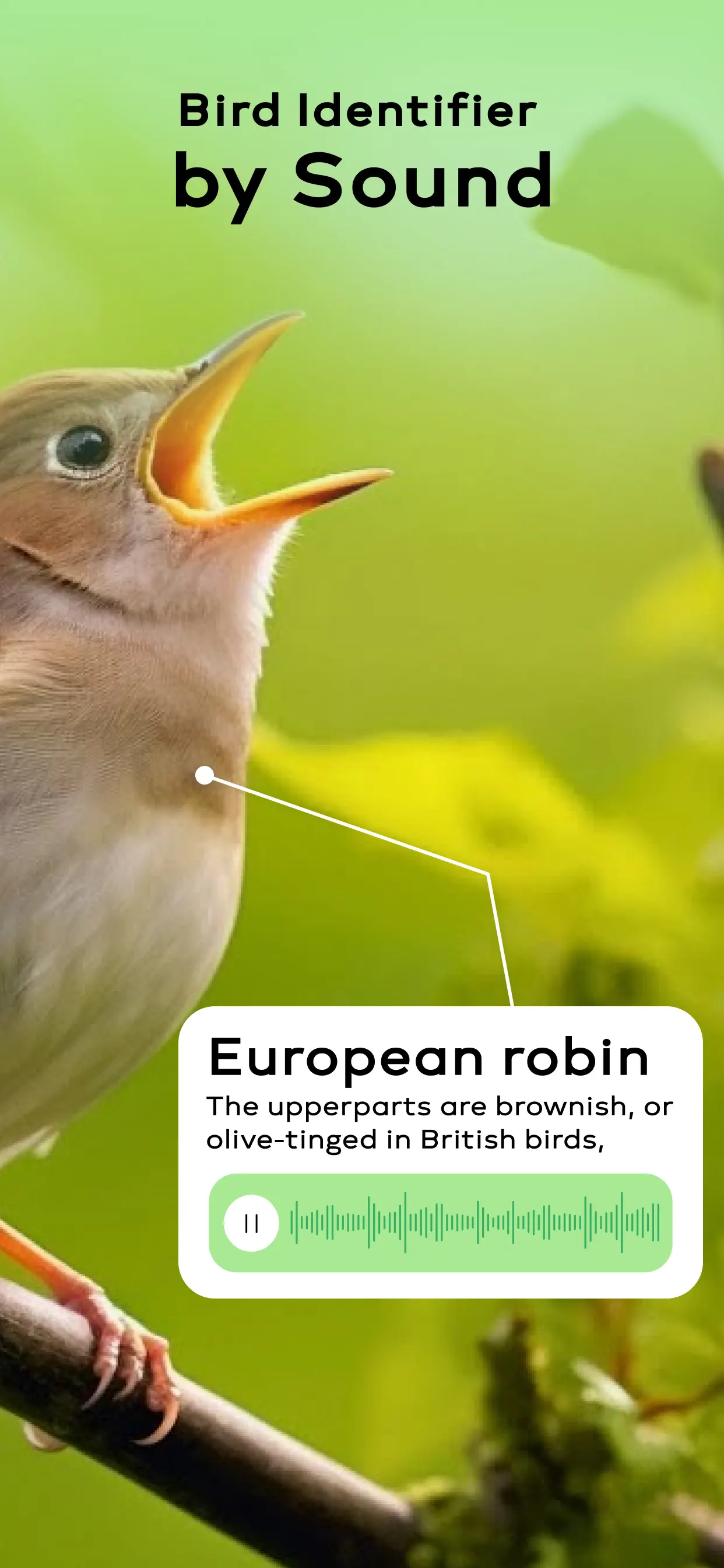 Bird Sounds Identifier Call ID App Store screenshot 2